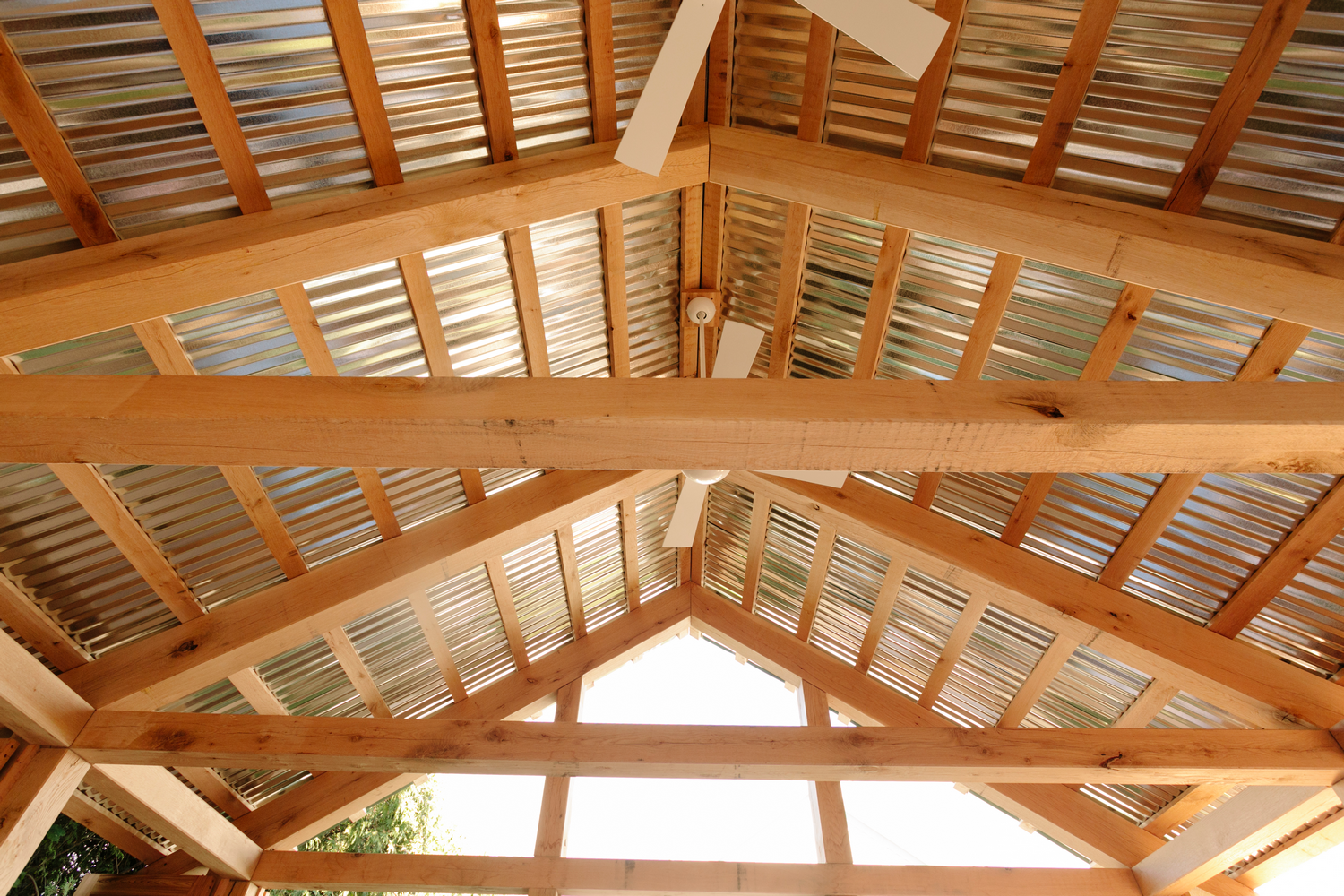 Leelanau Books_6.png