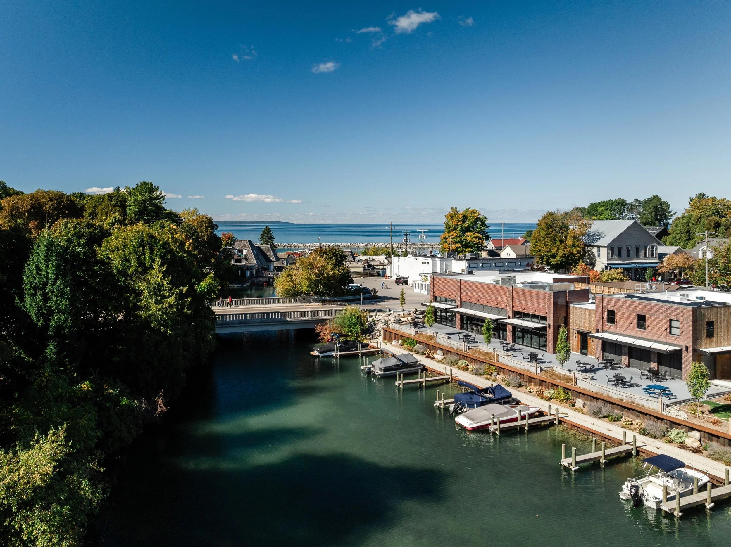 1009_Bluebird-0145-Edit (Custom).jpg