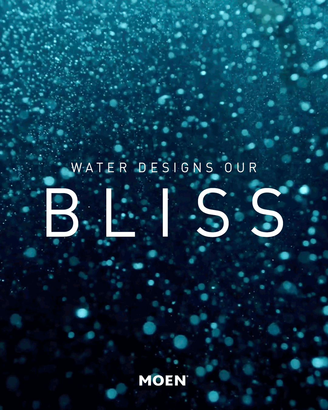 Moen_BLISS3_HJ.gif