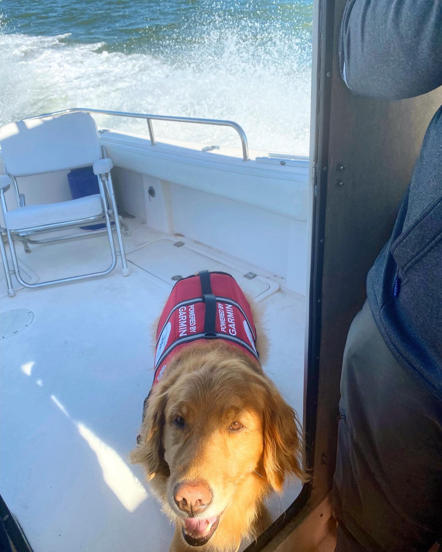 Joe and Daisy are enjoying their time out on the water during the Hampton, Va SAR conference