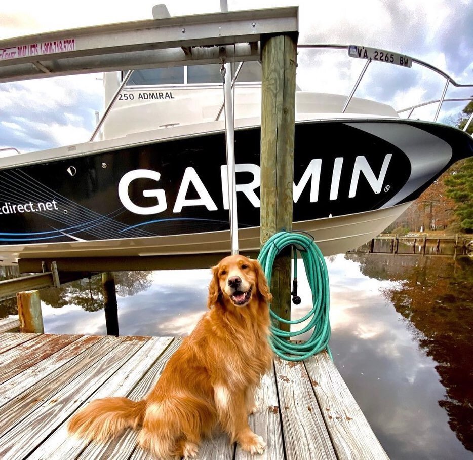 We finished packing Daisy and Joe for the Search and Rescue conference in Hampton, Va. If you see them please say hi! We can&rsquo;t help but reminisce on past years of enjoying SAR.