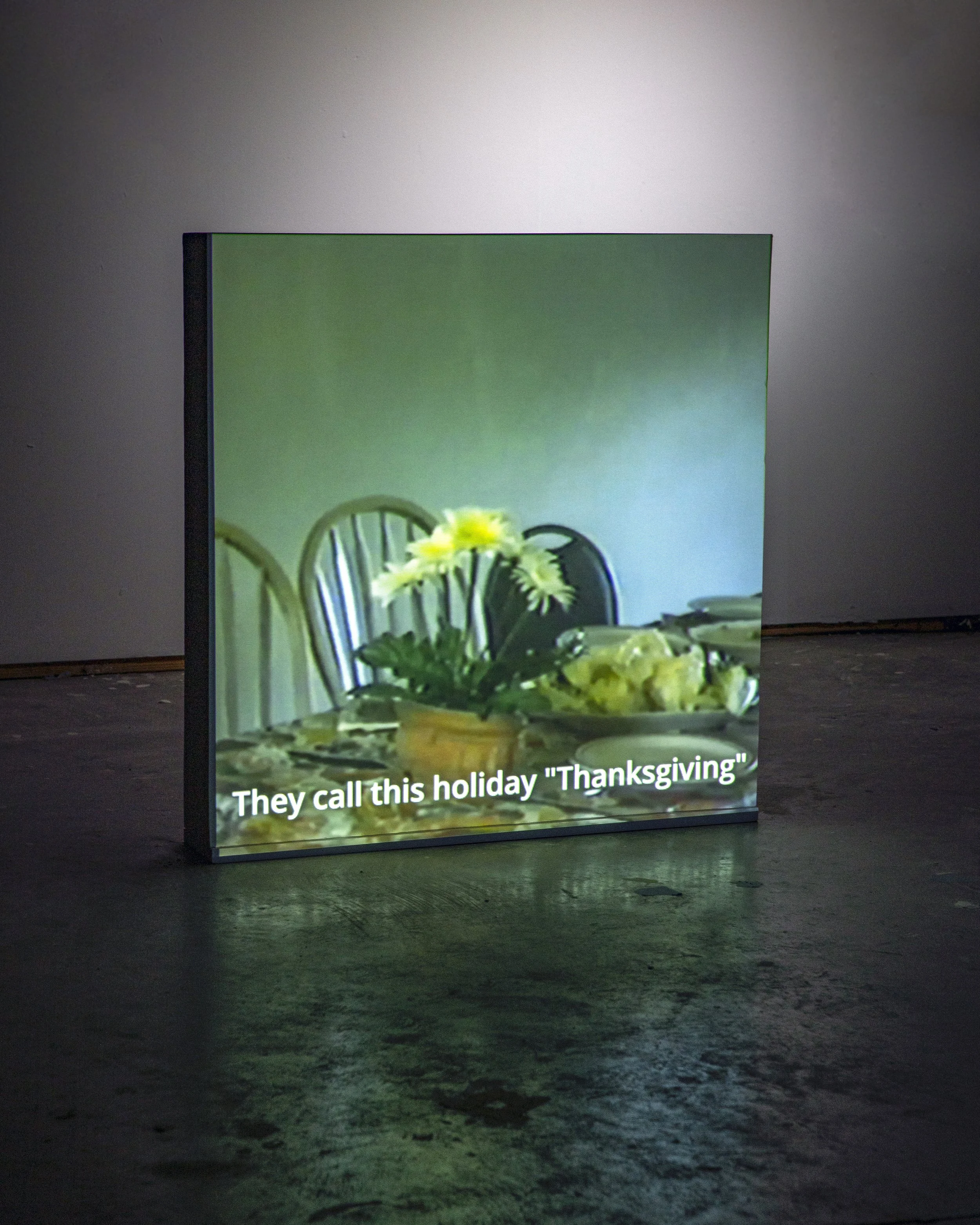 Through your eyes, I see more clearly (installation view), video from archival footage, single-channel projection, 2024