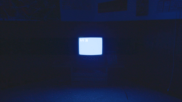 cantu 2.gif