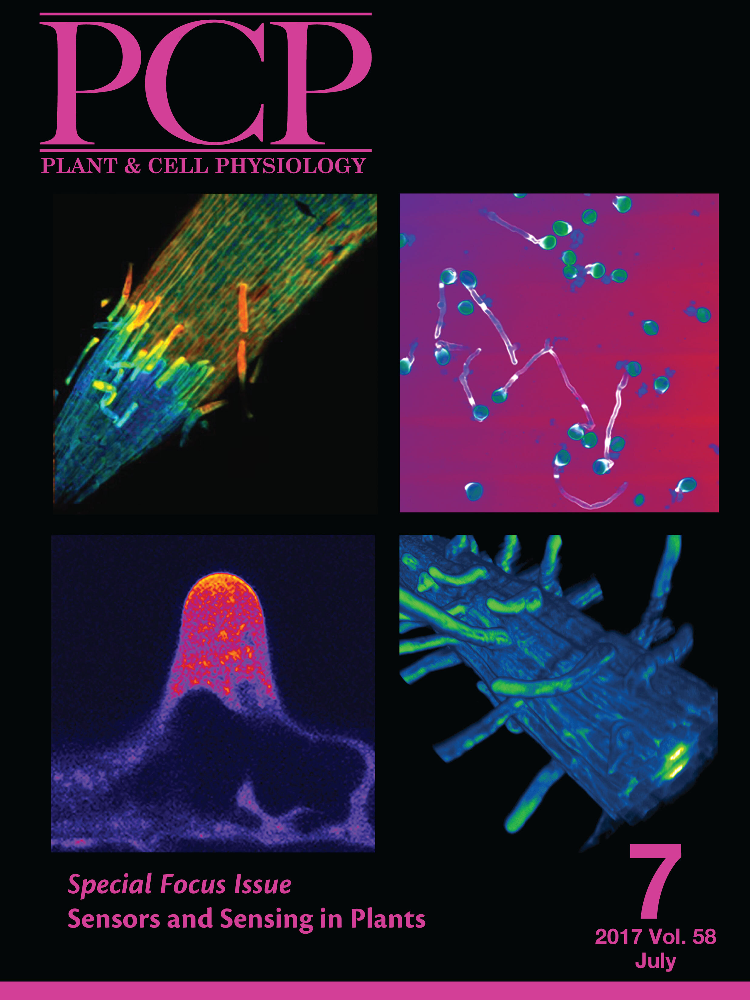 PCP cover.jpg