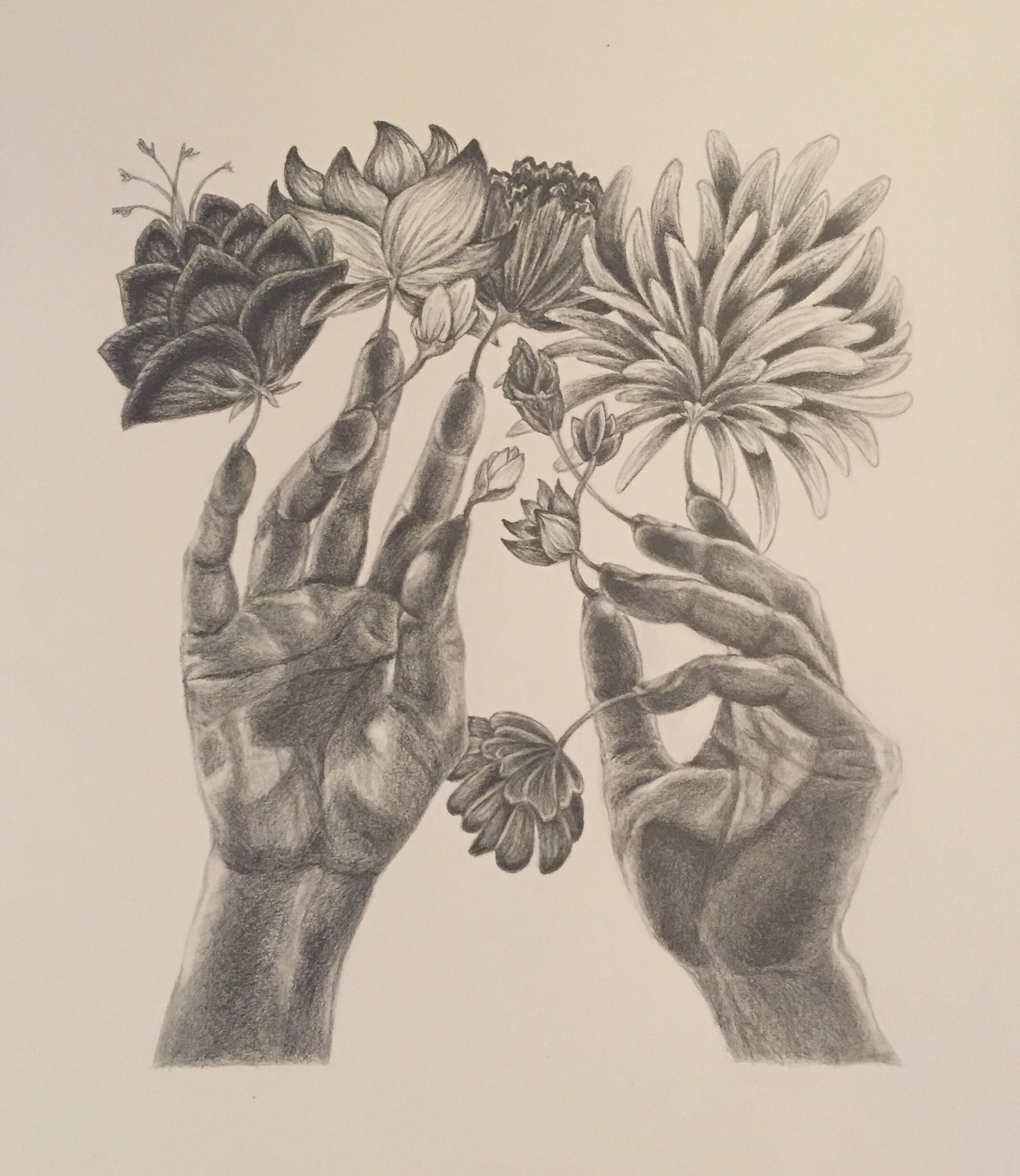 Growth, 2020, 11x14" Graphite on paper  SOLD
