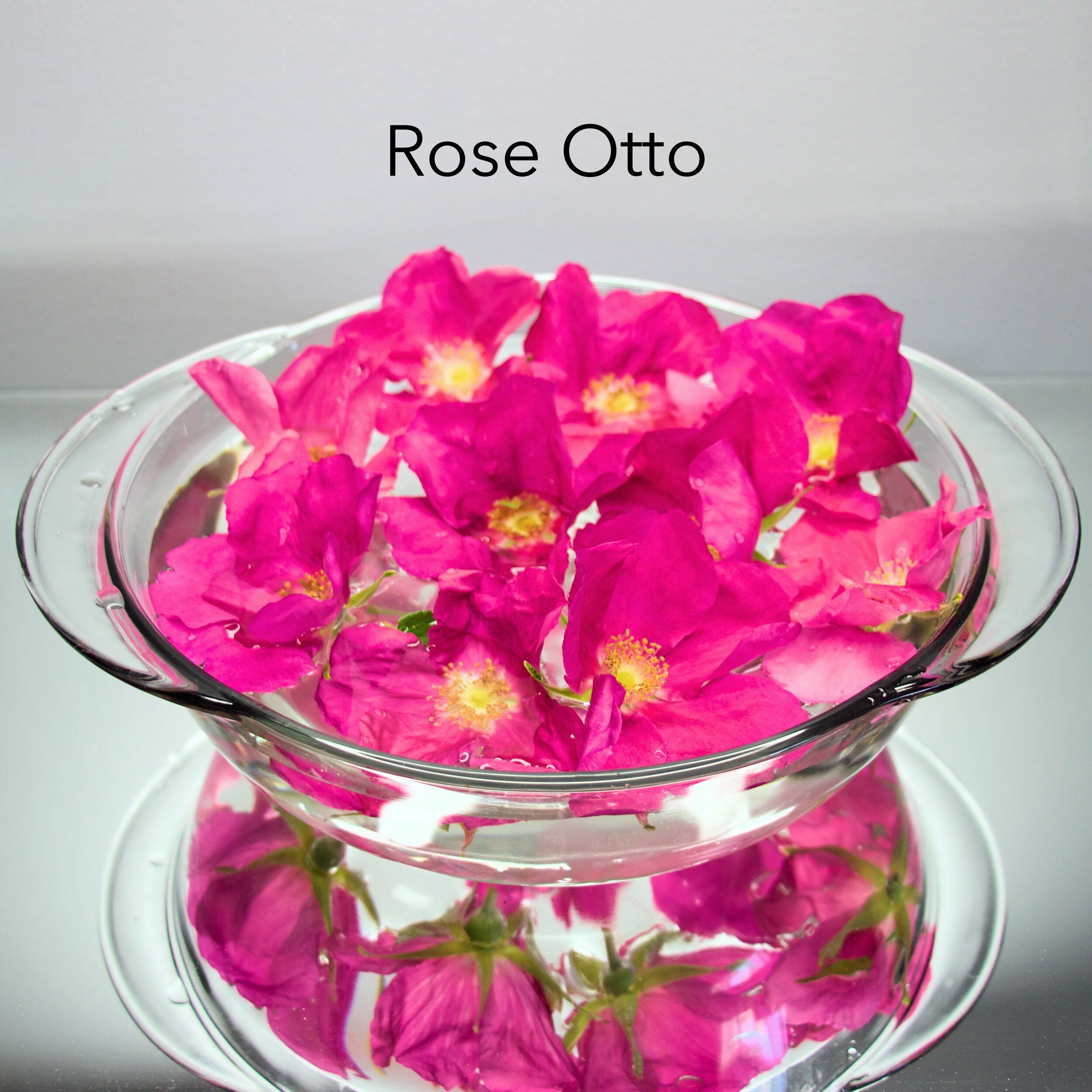 rose otto.jpg