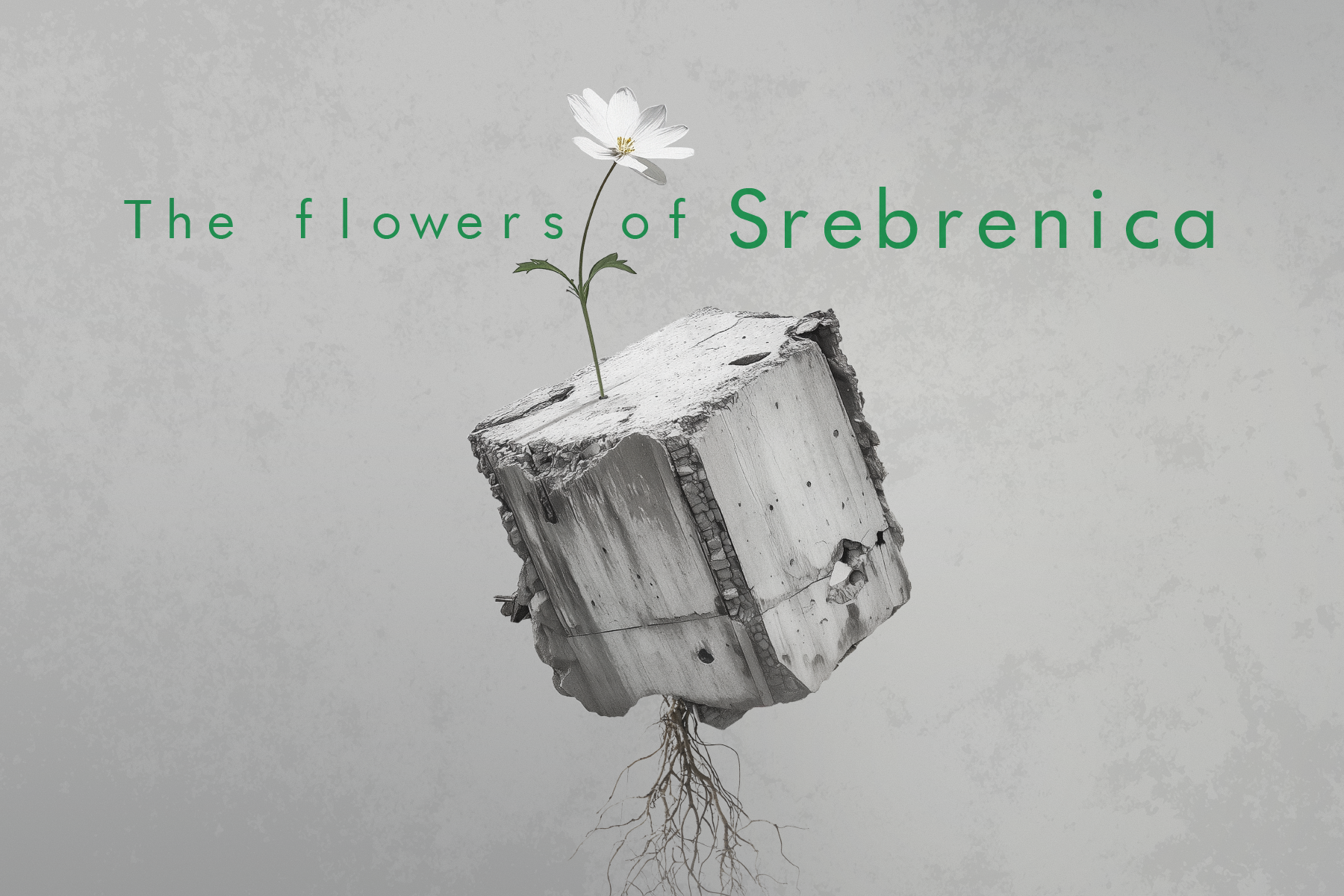 Skoleforestilling: The Flowers of Srebrenica