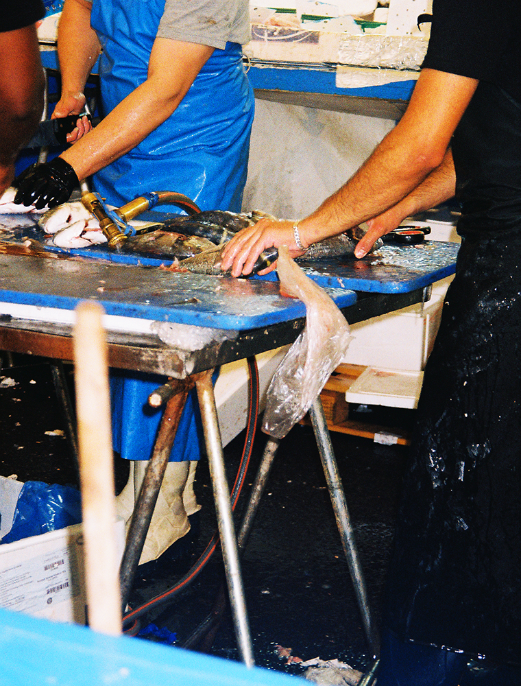 PhotographyImage2.png