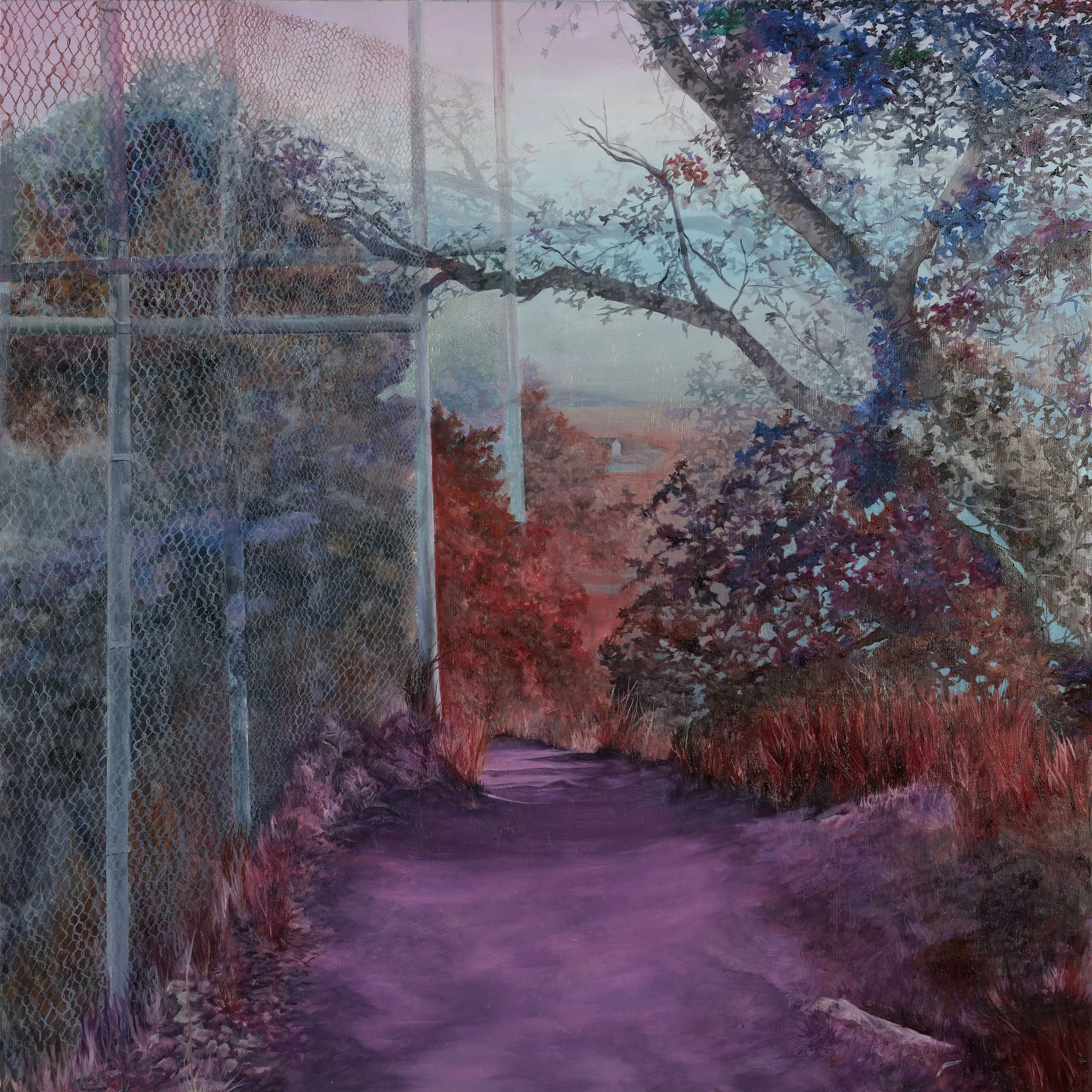 felsman loop 2026  edit.jpg