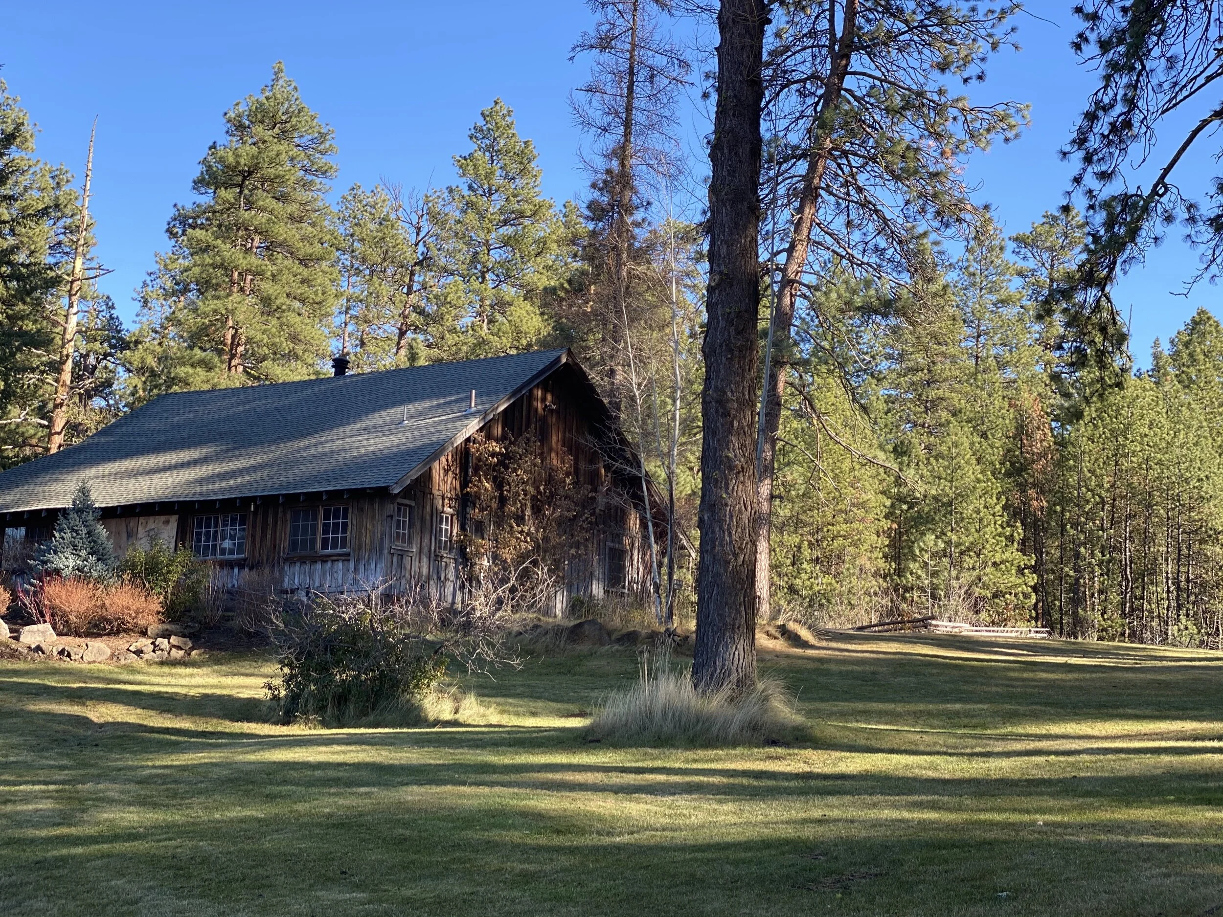 CABIN 006
