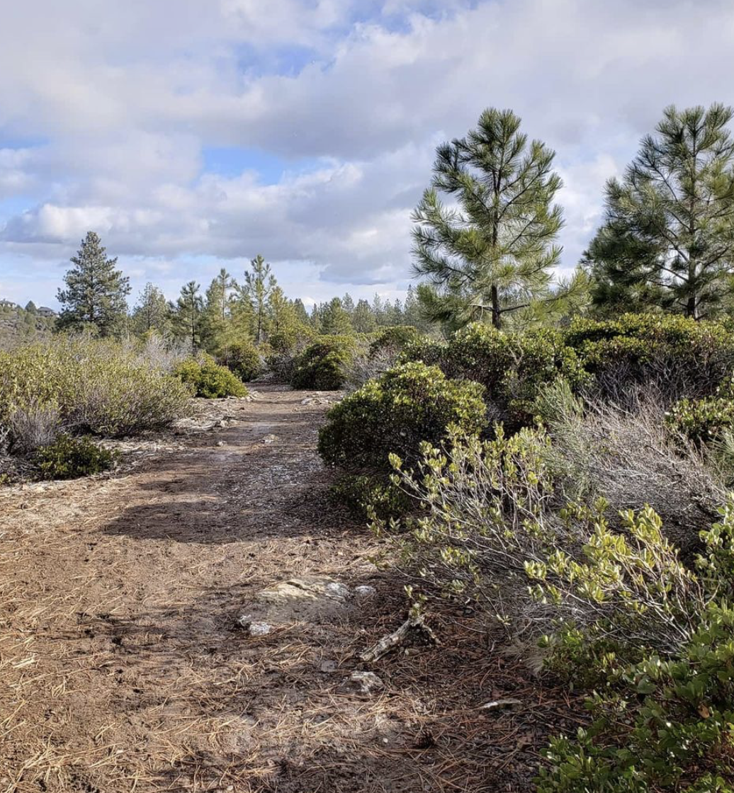 Trail 019 - 7