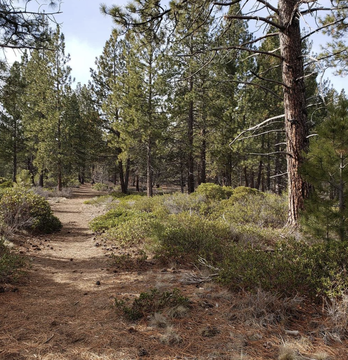 Trail 019 - 8