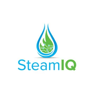 steam-IQ.jpg