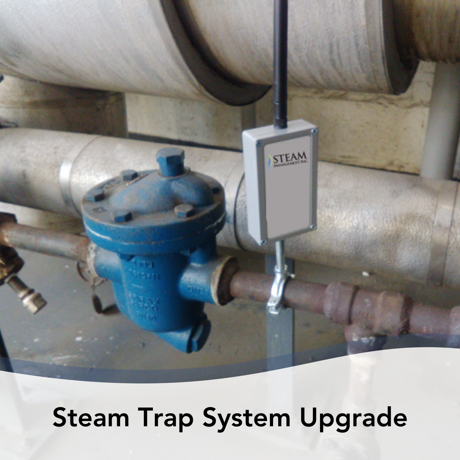 Steam Trap System Upgrade case study