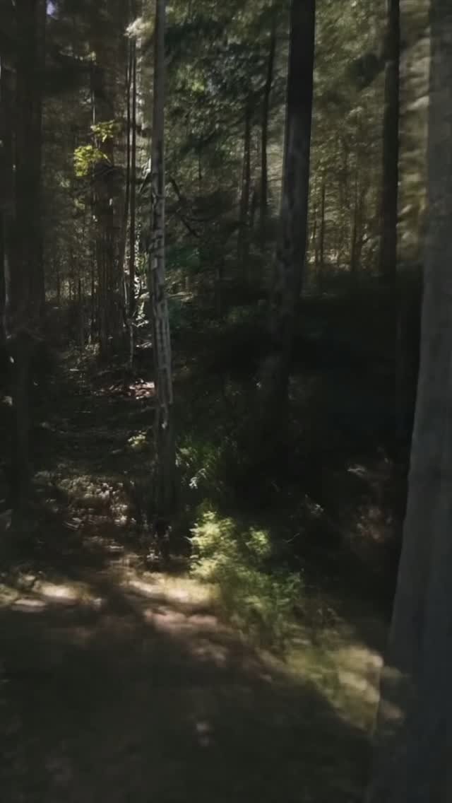 Seattle Agents, Let’s Take Your Listings Off the Grid — and Straight Into Buyers’ Hearts.
Wilderness. Wonder. Wow factor. This isn’t just another cabin in the woods — it’s a story waiting to be told, and that story