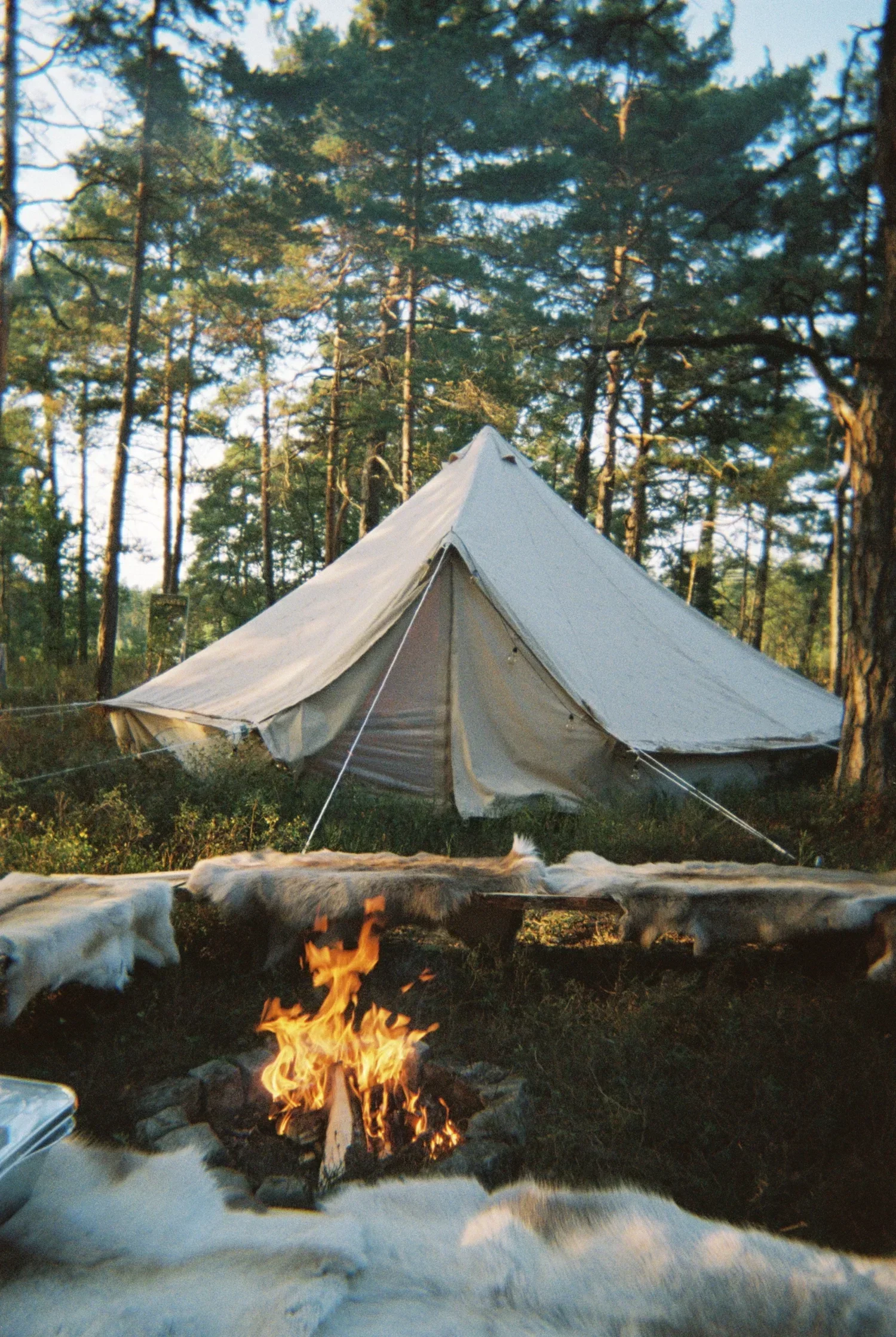 TWENTYFOUR GLAMPING