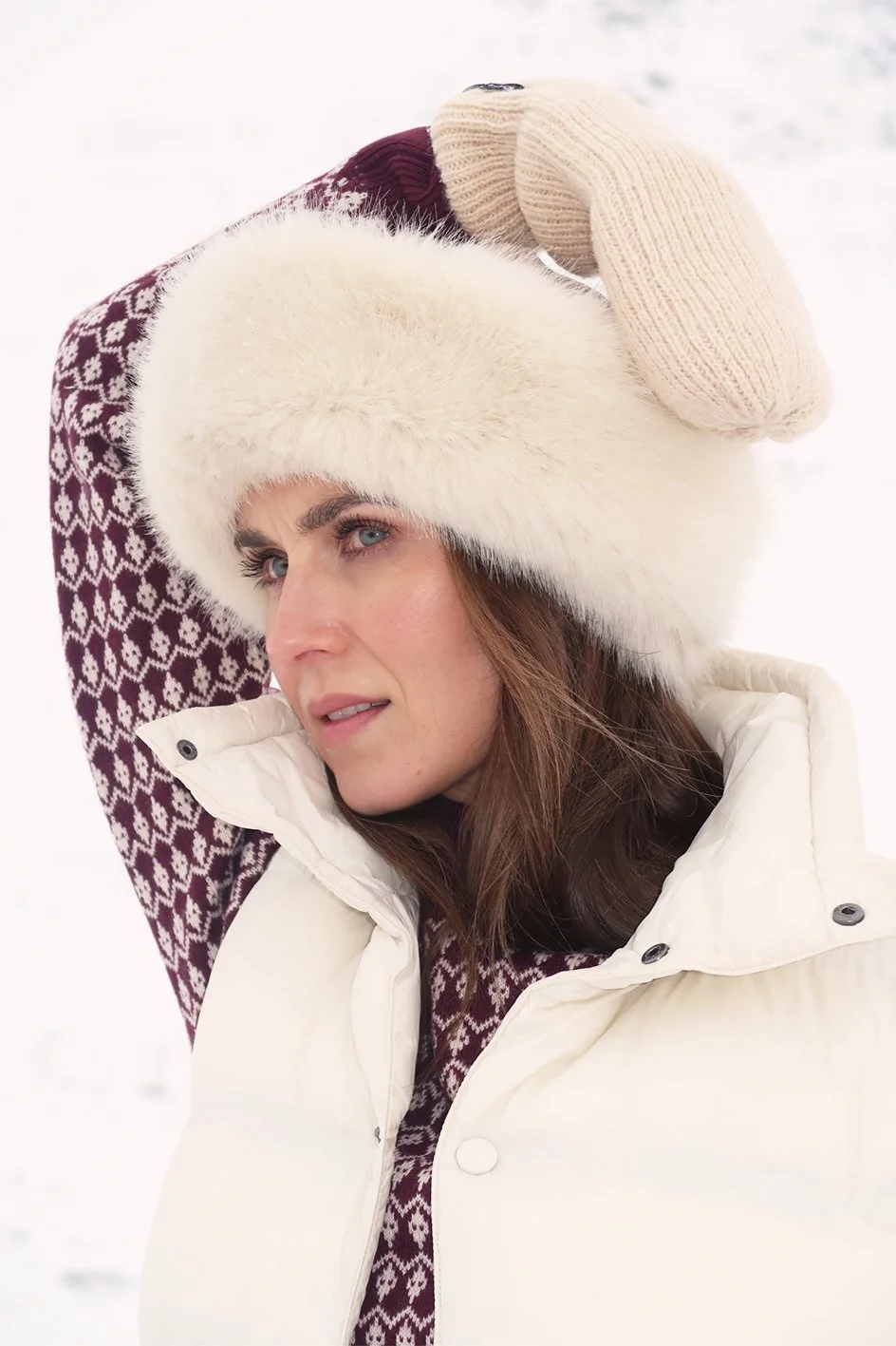 NINA 25 utan logga.jpg