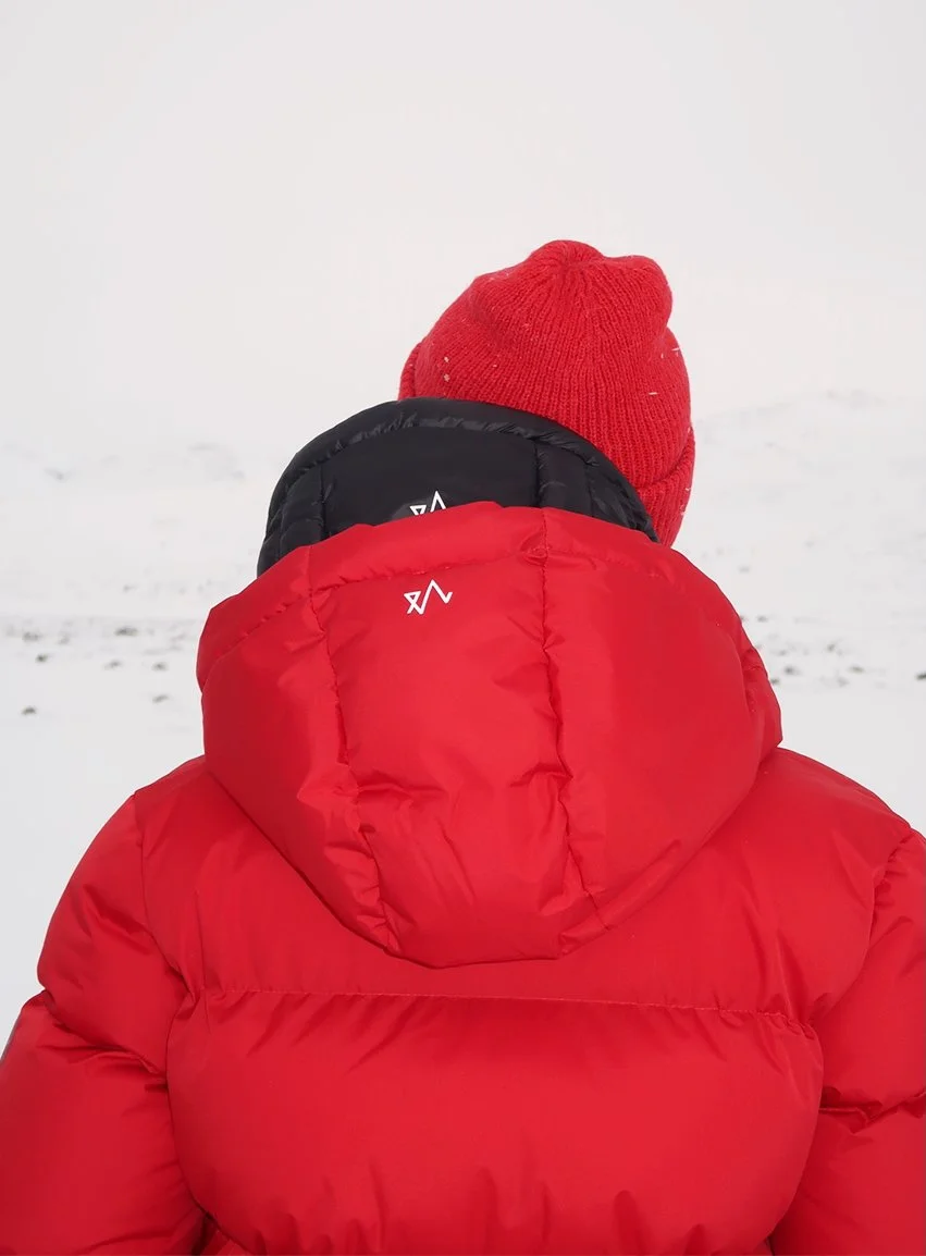 NINA 28utan logga.jpg