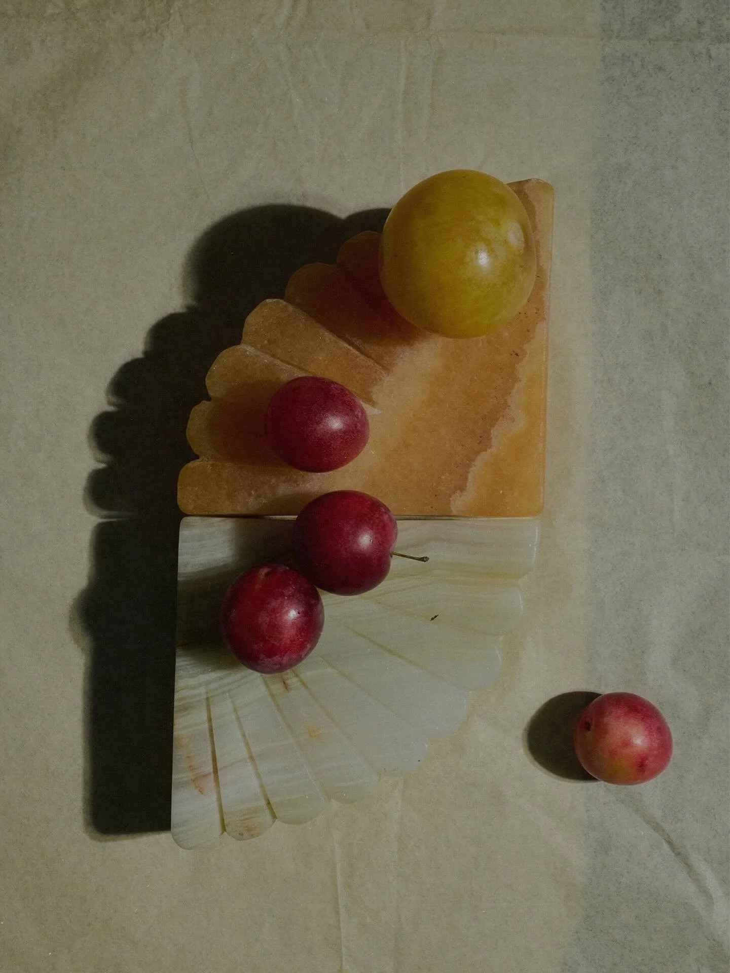 Scallop Bookends @lorenstewart objects and treasures to adorn your home