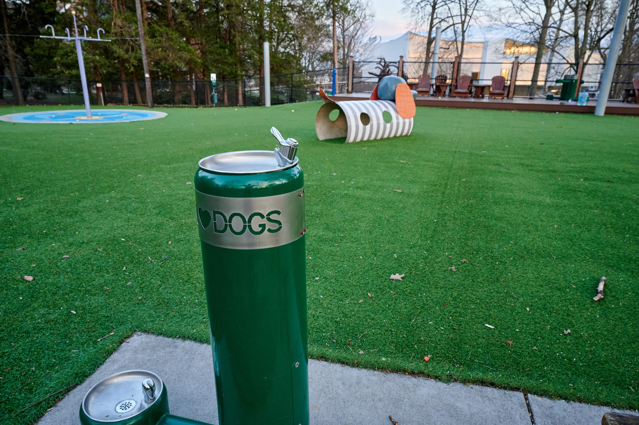 Remember Dog Parks?