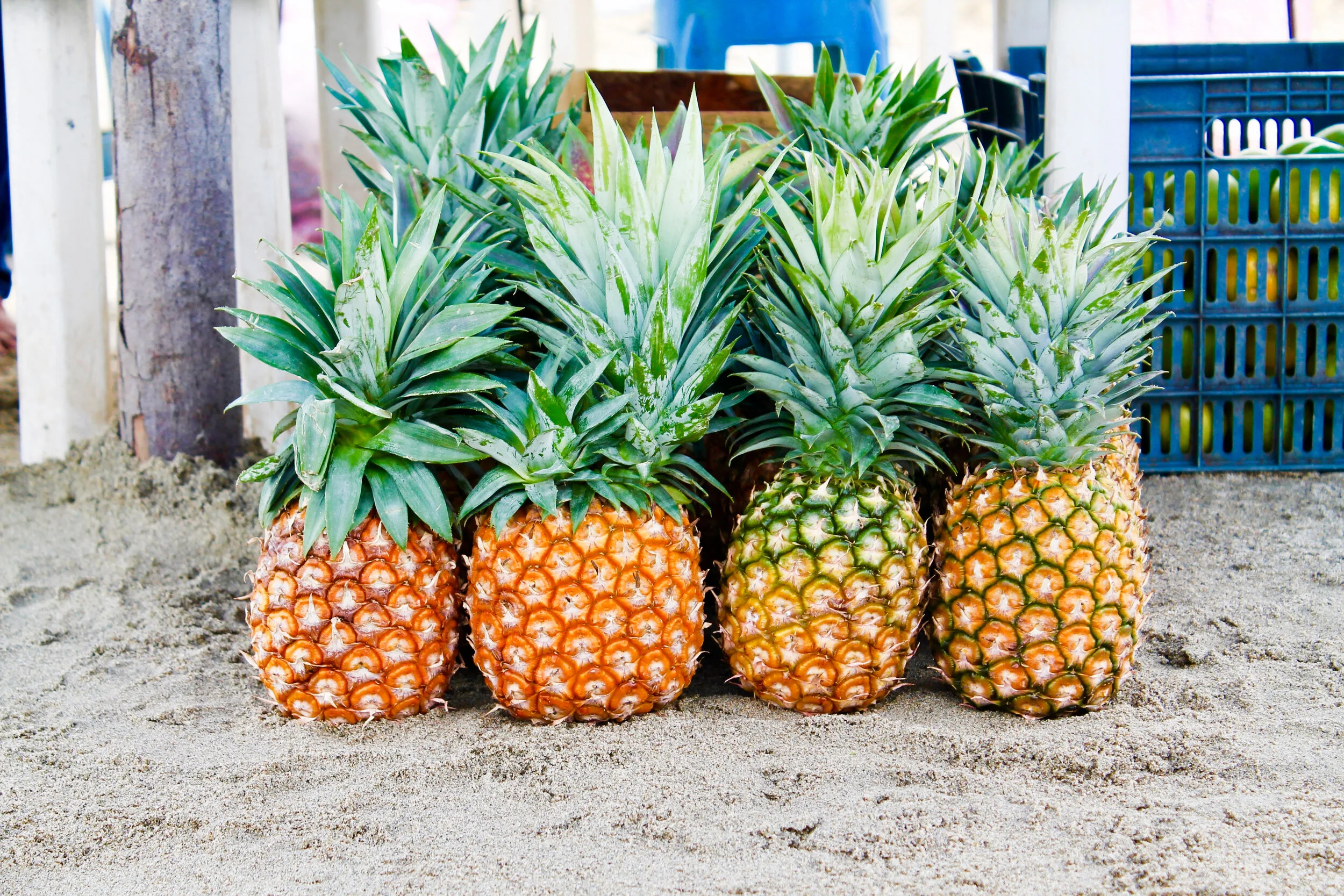 2016_June_Sayulita_Pineapples.jpg