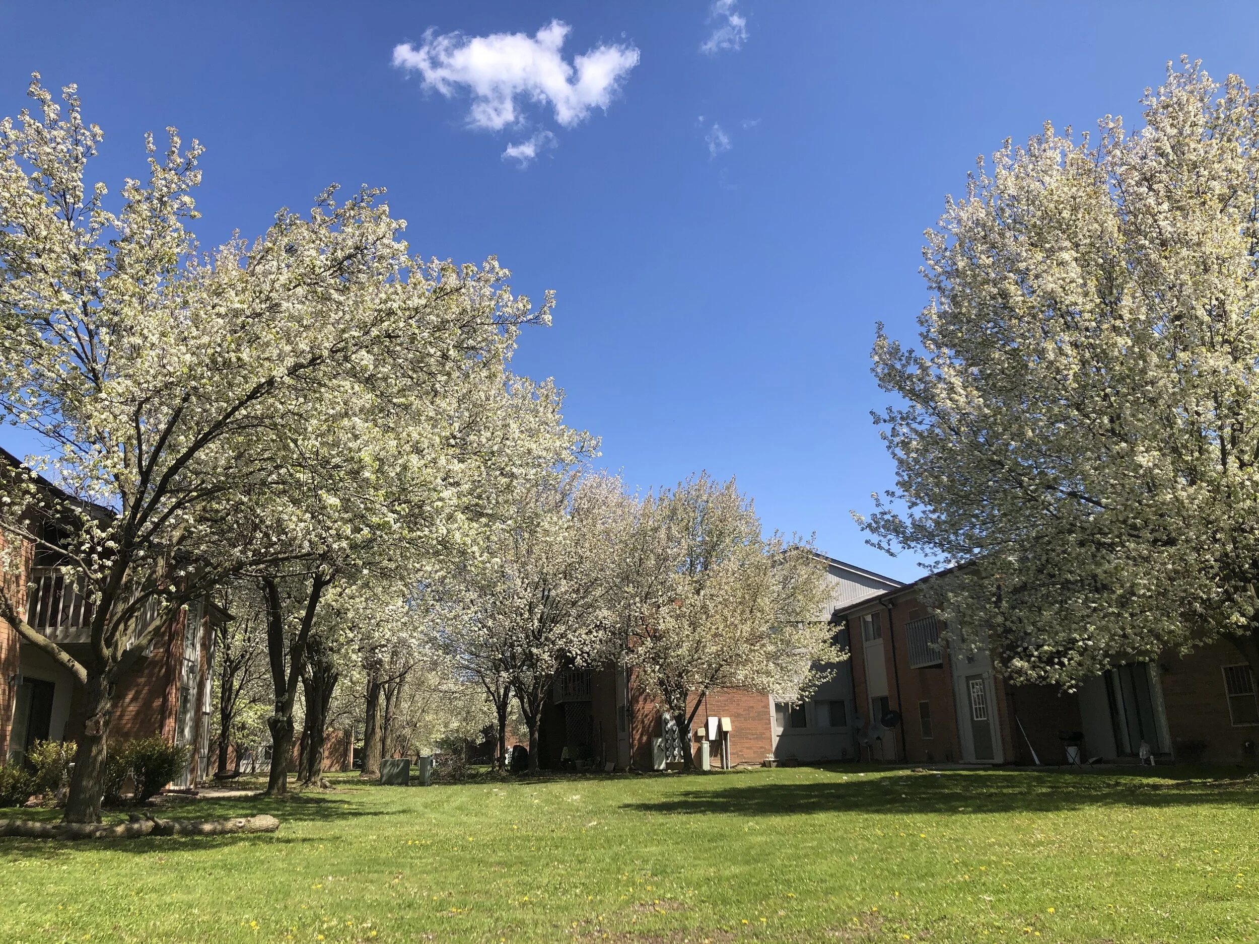 Bradford Square Apartments Modern Affordable Family Apartments