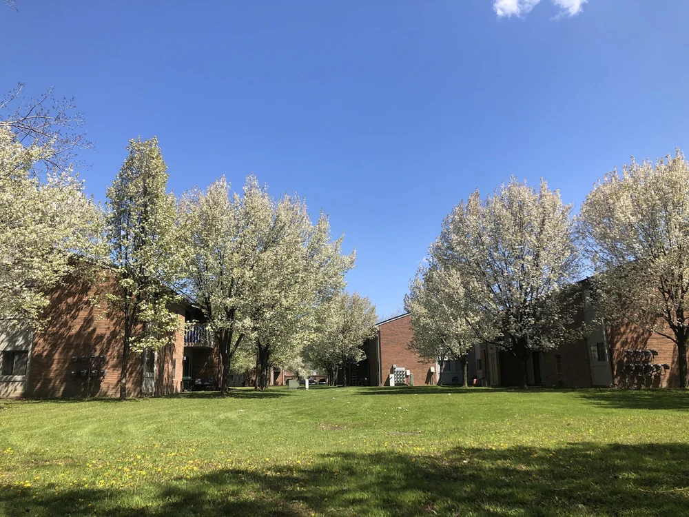 Bradford Square Modern, Updated, Affordable, Available, Luxury Family