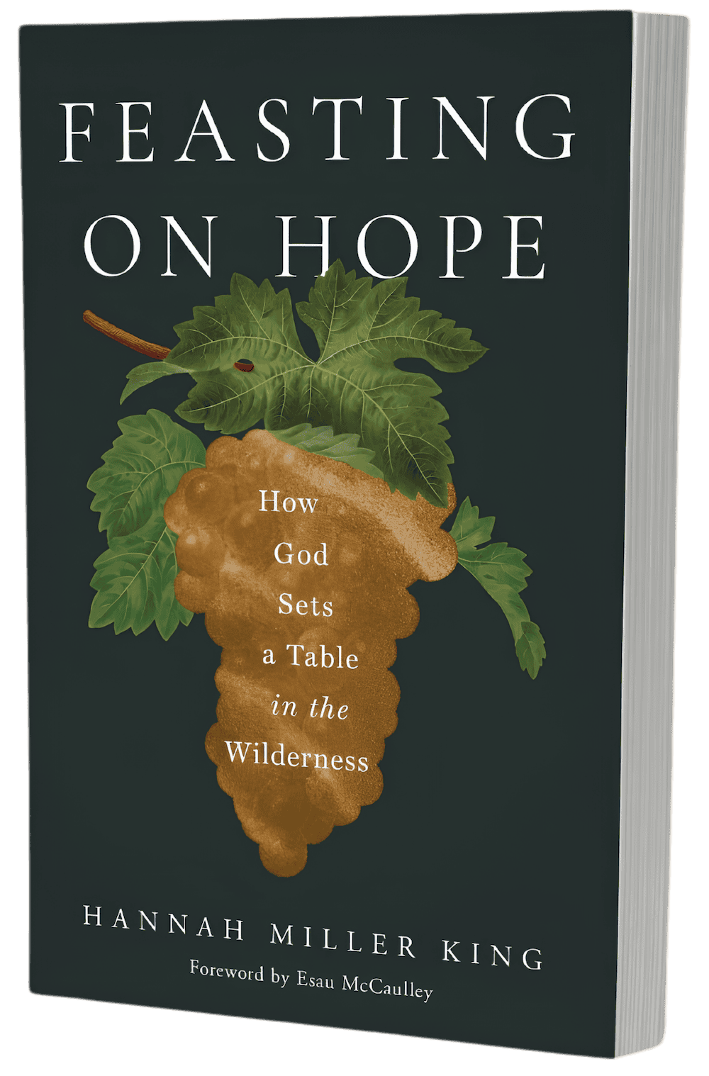 Book titled 'Feasting on Hope: How God Sets a Table in the Wilderness' by Hannah Miller King, with a cover illustration of a grapevine leaf and a cluster of grapes on a dark background.