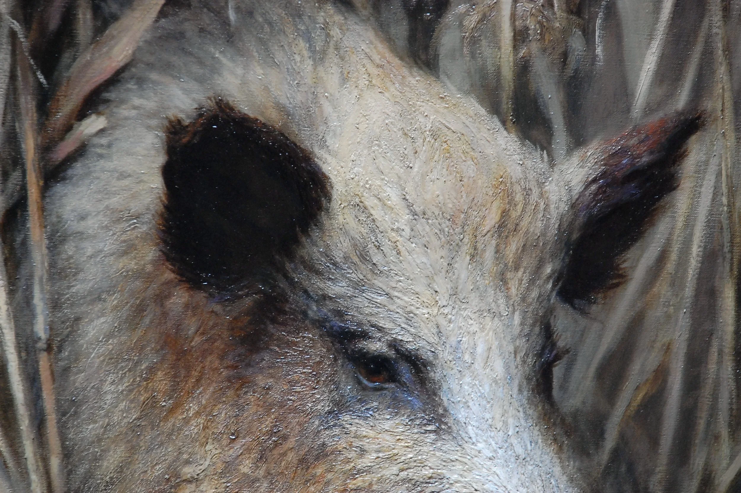 the boar (detail)
