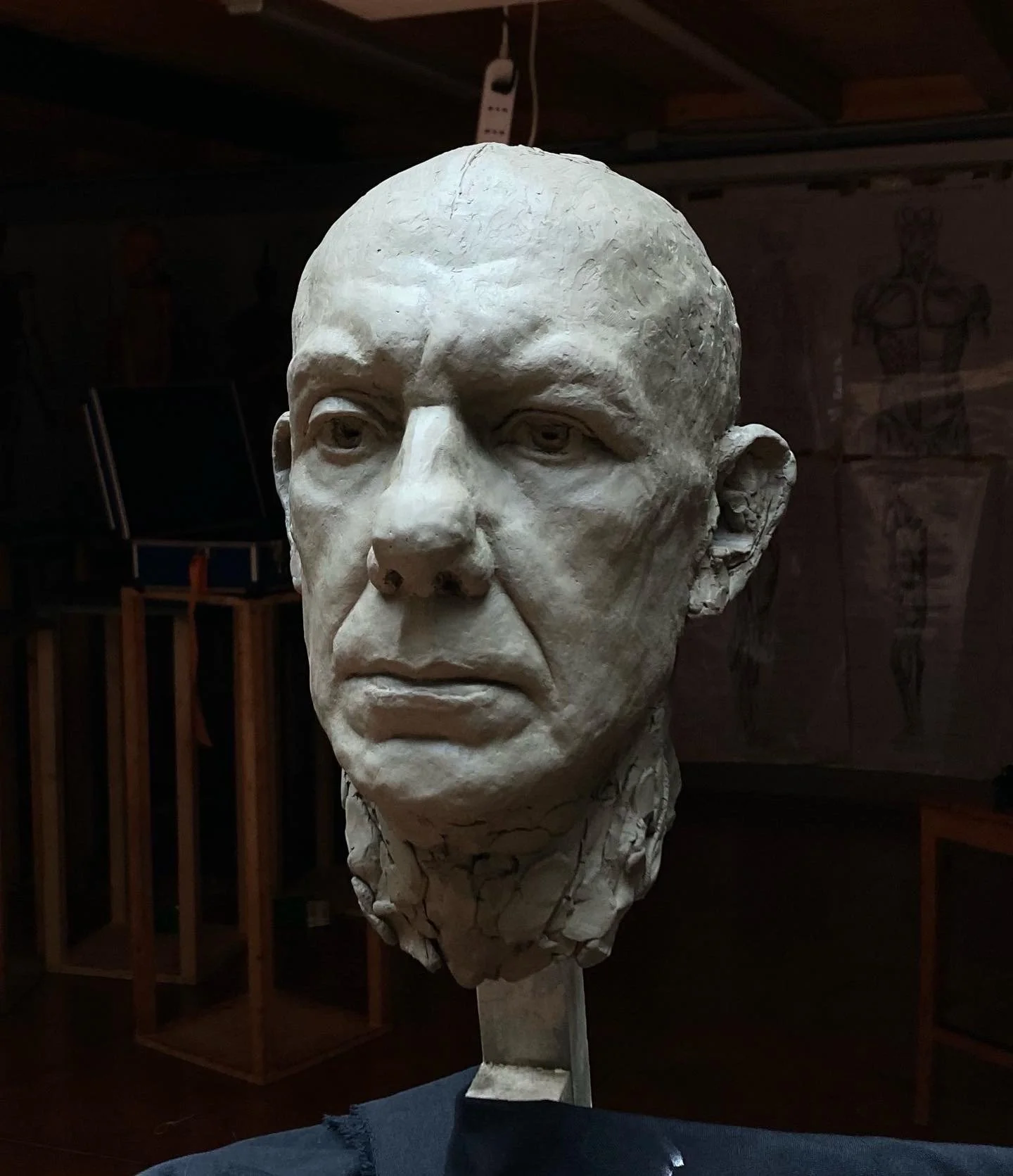 stefano