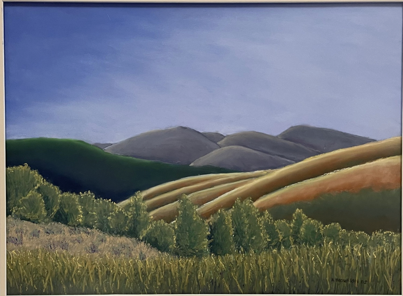 "Spring Creek Ranch 1", Jackson, WY, Pastel,  2008
Image Size : 24" x 18"/ OD: 31" x 26"
