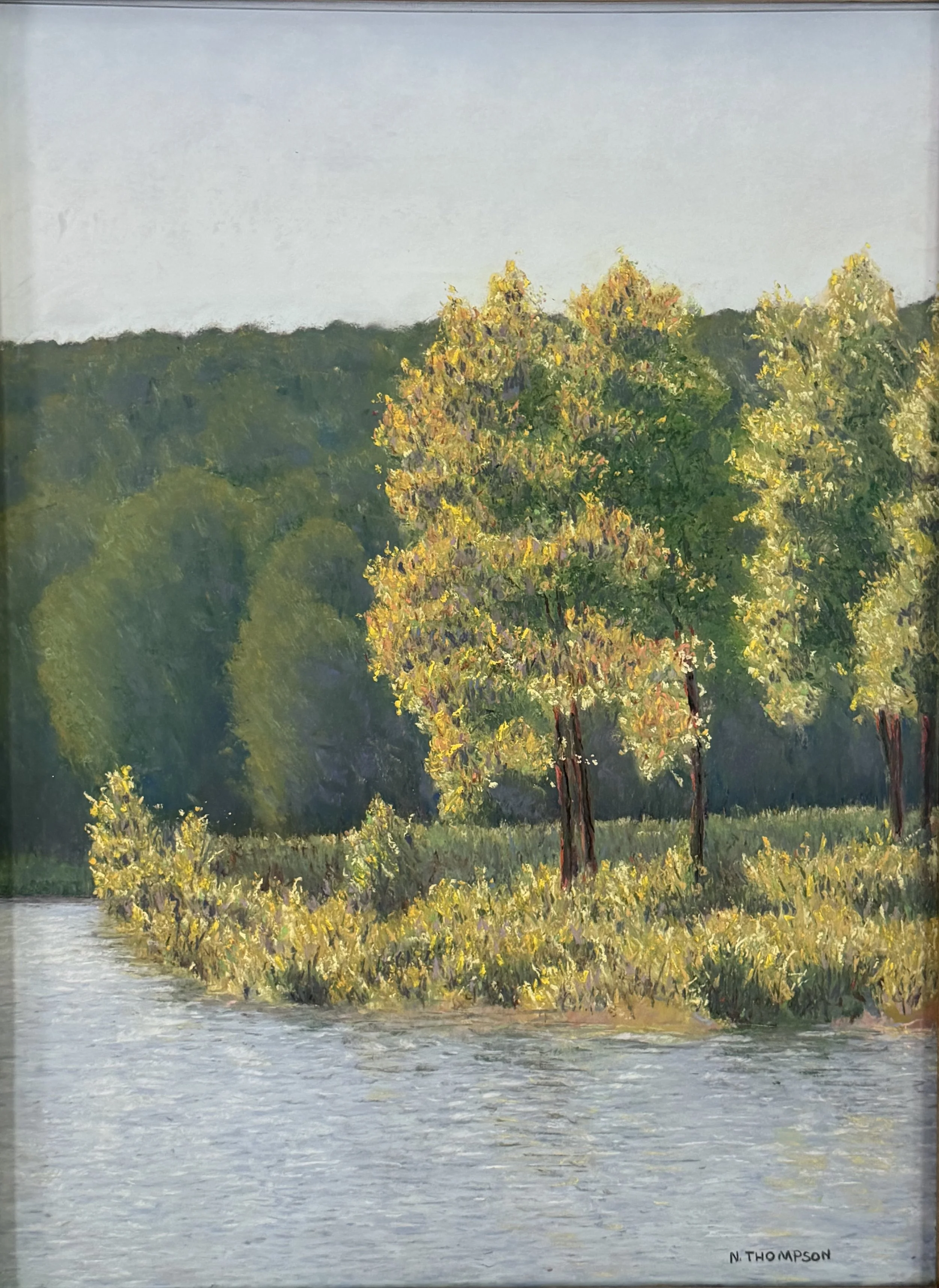 "Last Patch of Sunshine",  Bull's Island, Stockton, NJ, Pastel,  2010 ($875)
Image size: "24 X 18"/Frame OD: 30" x 23.5"