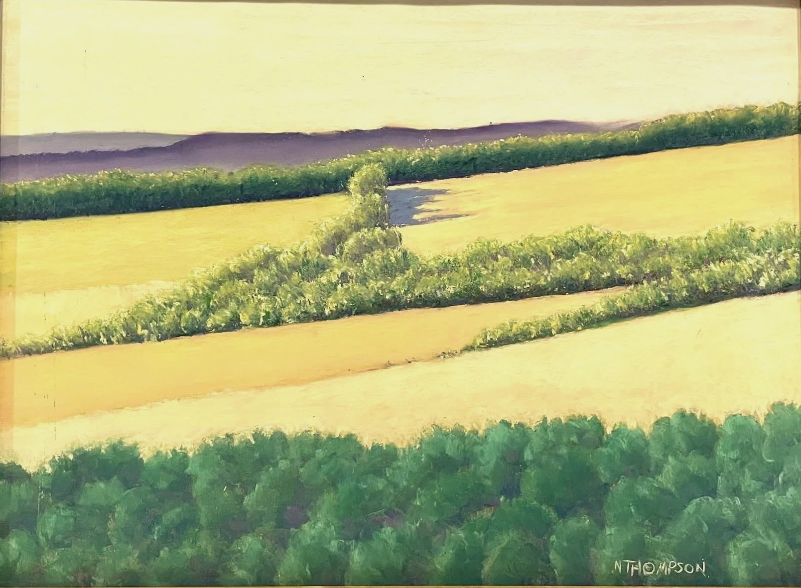 "Fields Across the Way", Greenwich Twp., NJ, Pastel, 2010
Image Size: 18" x 24"/Frame OD: 19.5" x 29.5"