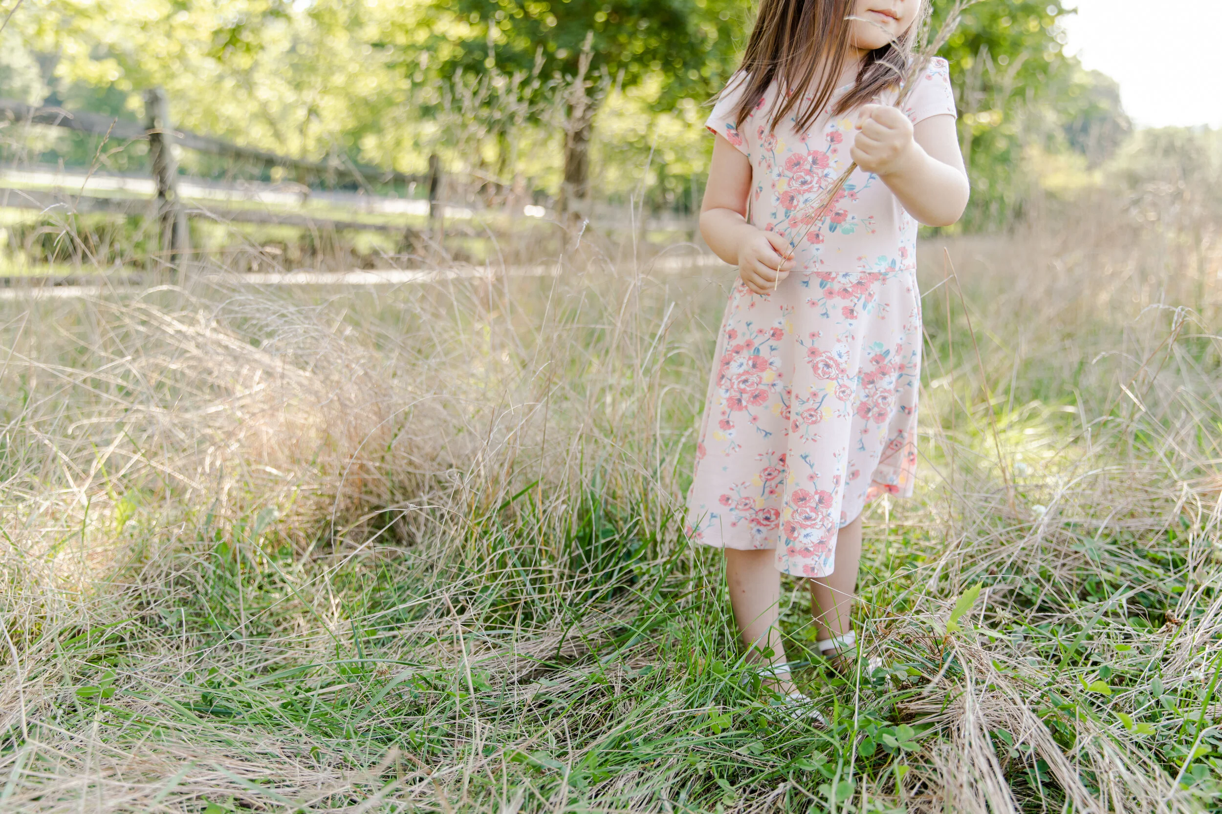 Welcome to Prek0120.jpg