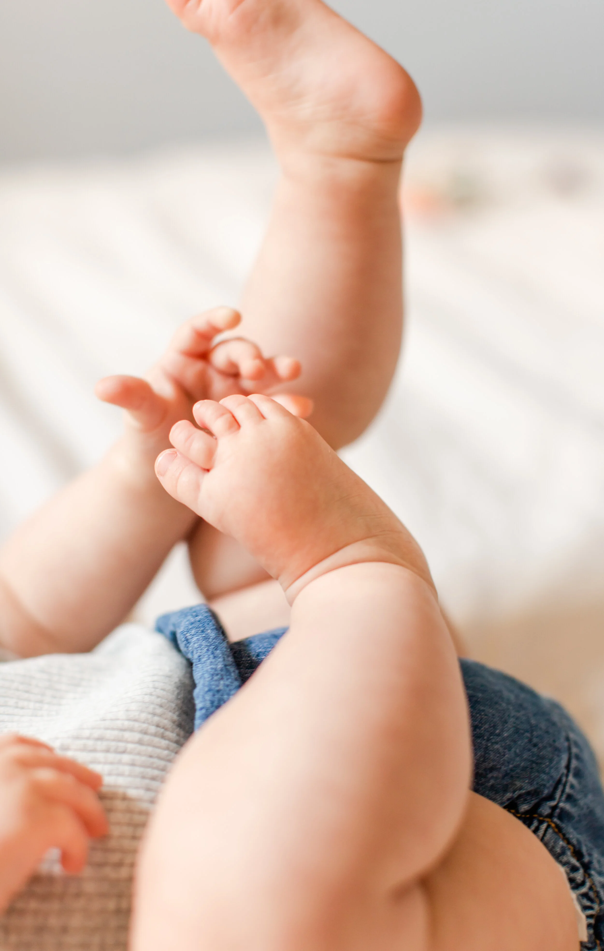 Clara Favorites0002.jpg