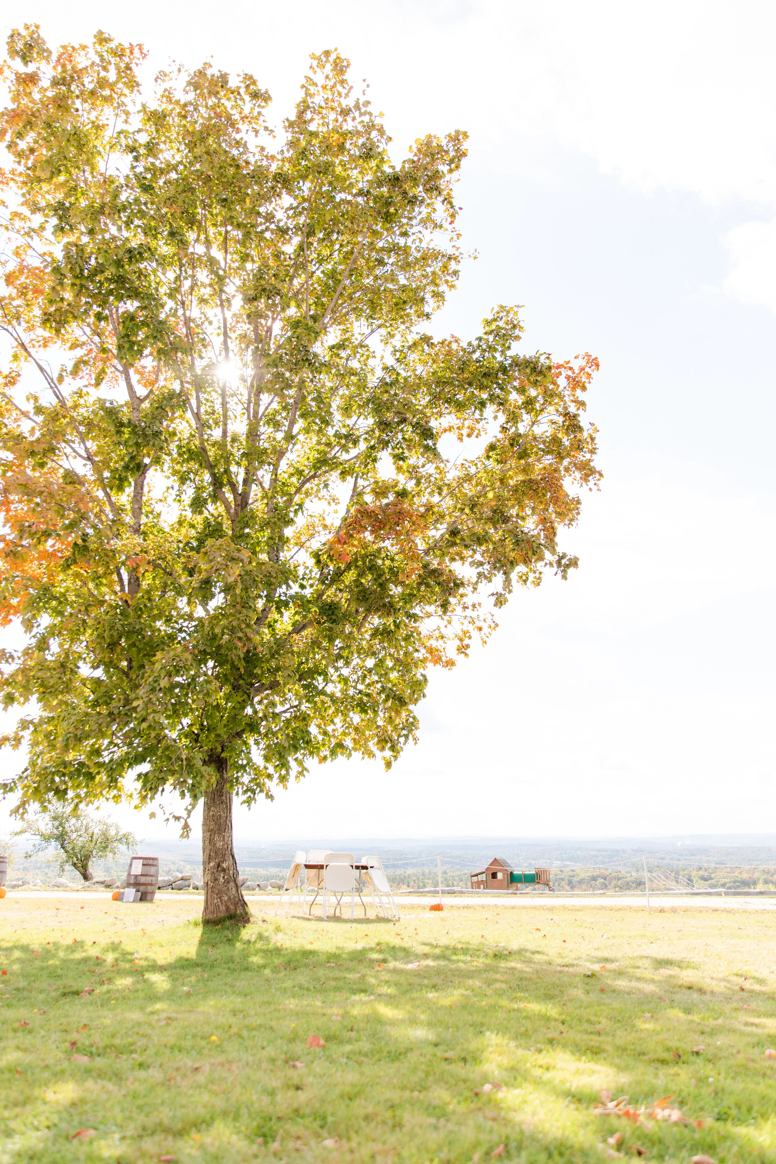 Maine Getaway0029.jpg