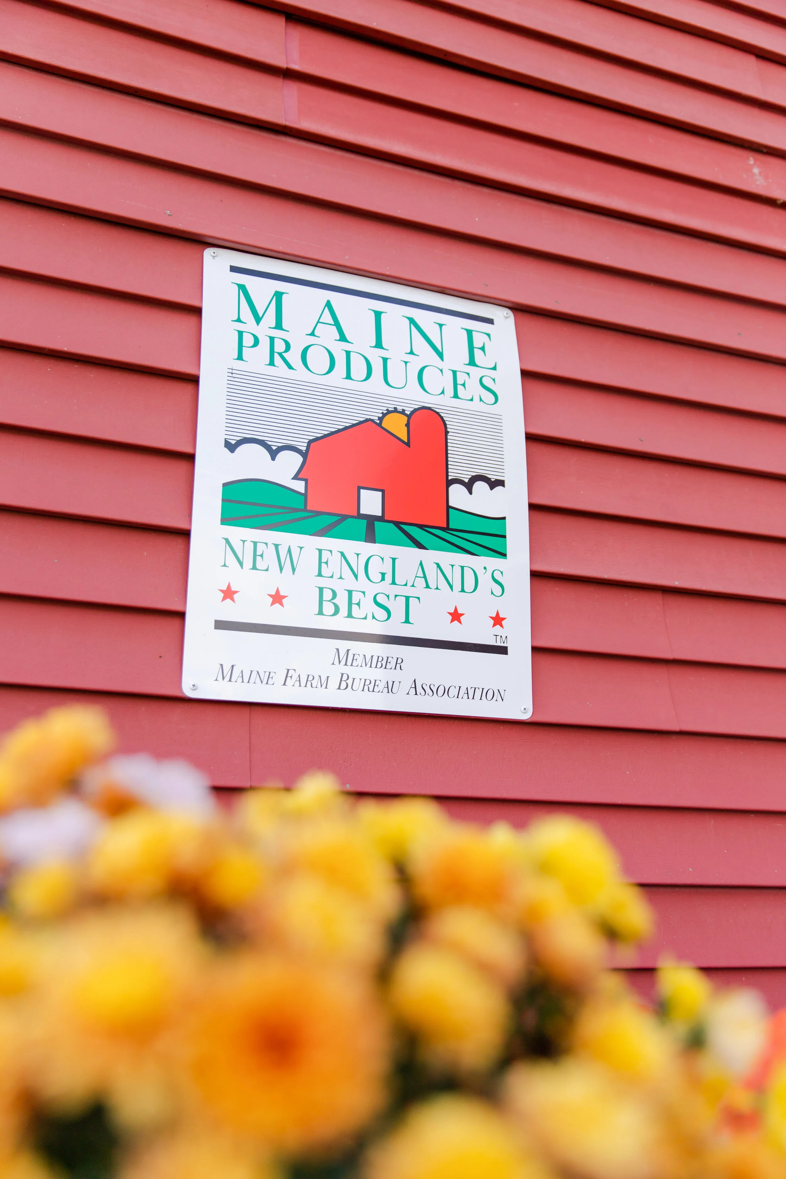 Maine Getaway0041.jpg