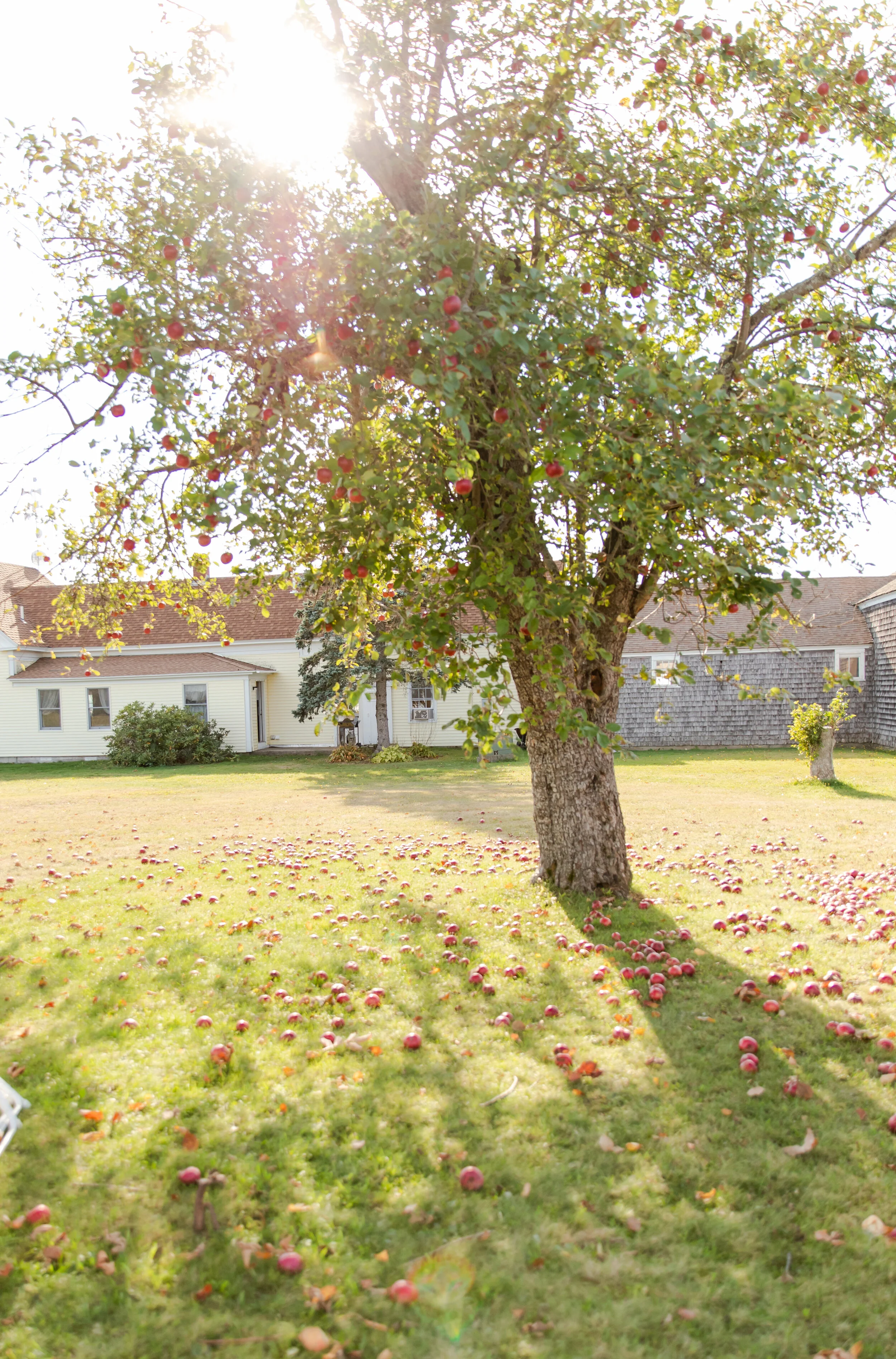 Maine Getaway0035.jpg