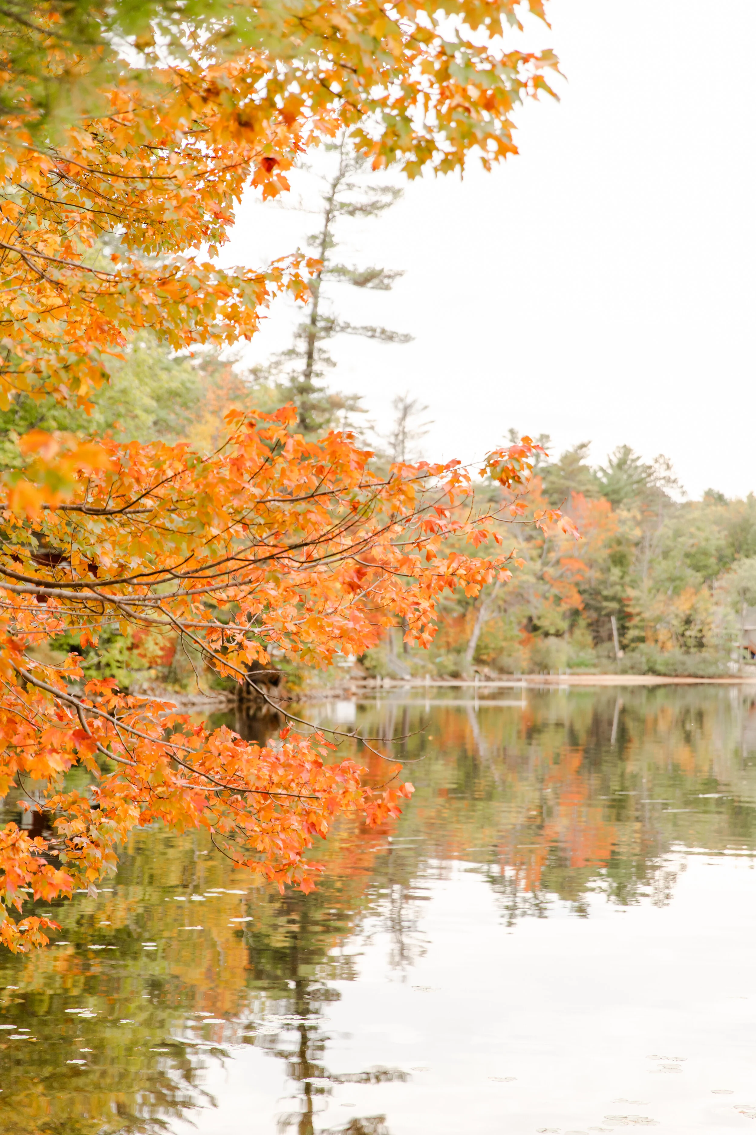 Maine Getaway0010.jpg