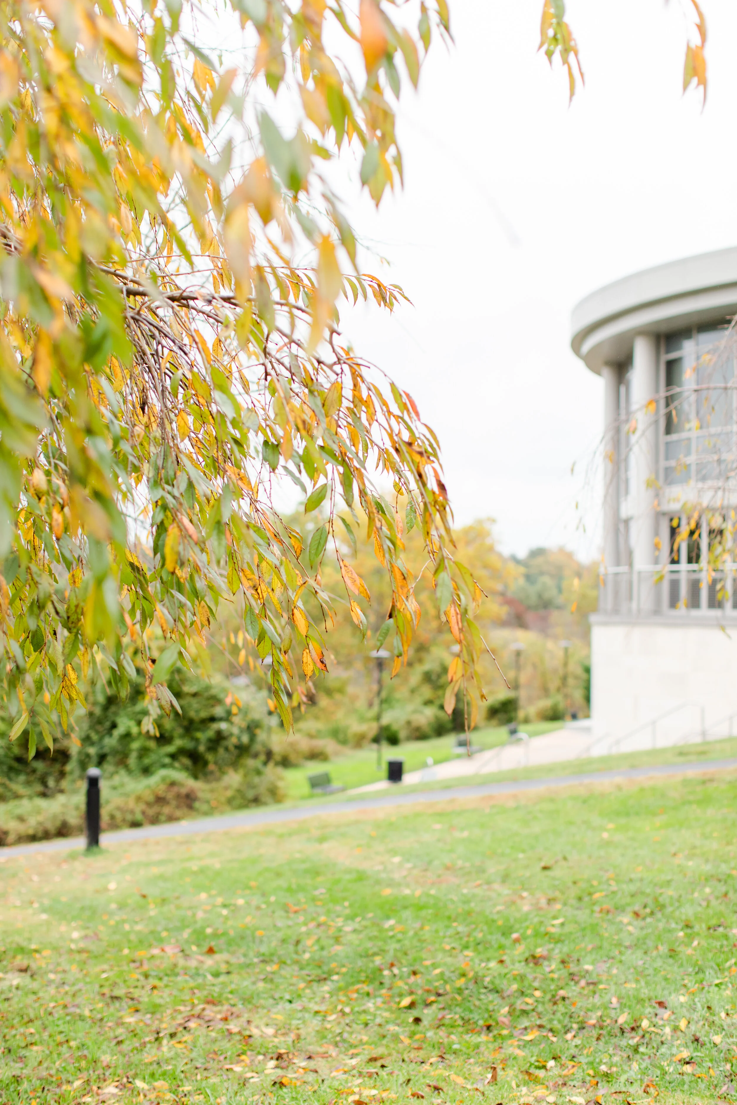 Holmstead Family Favorites0016.jpg