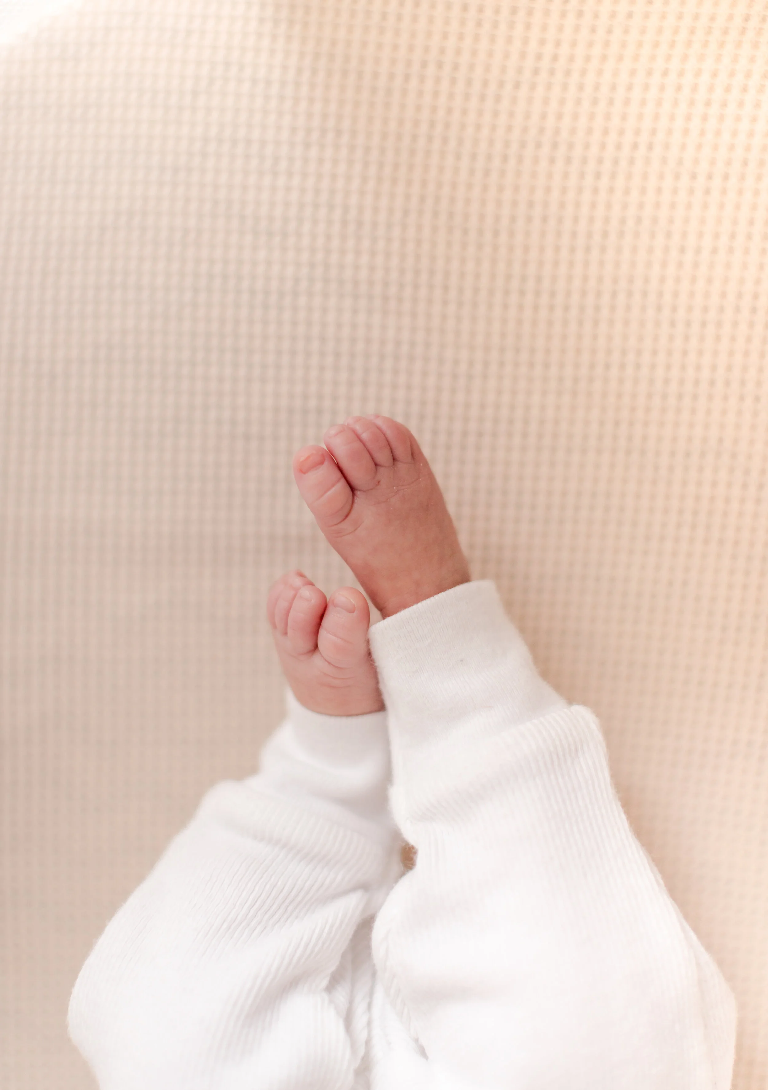 Pryor Family Favorites 0007.jpg