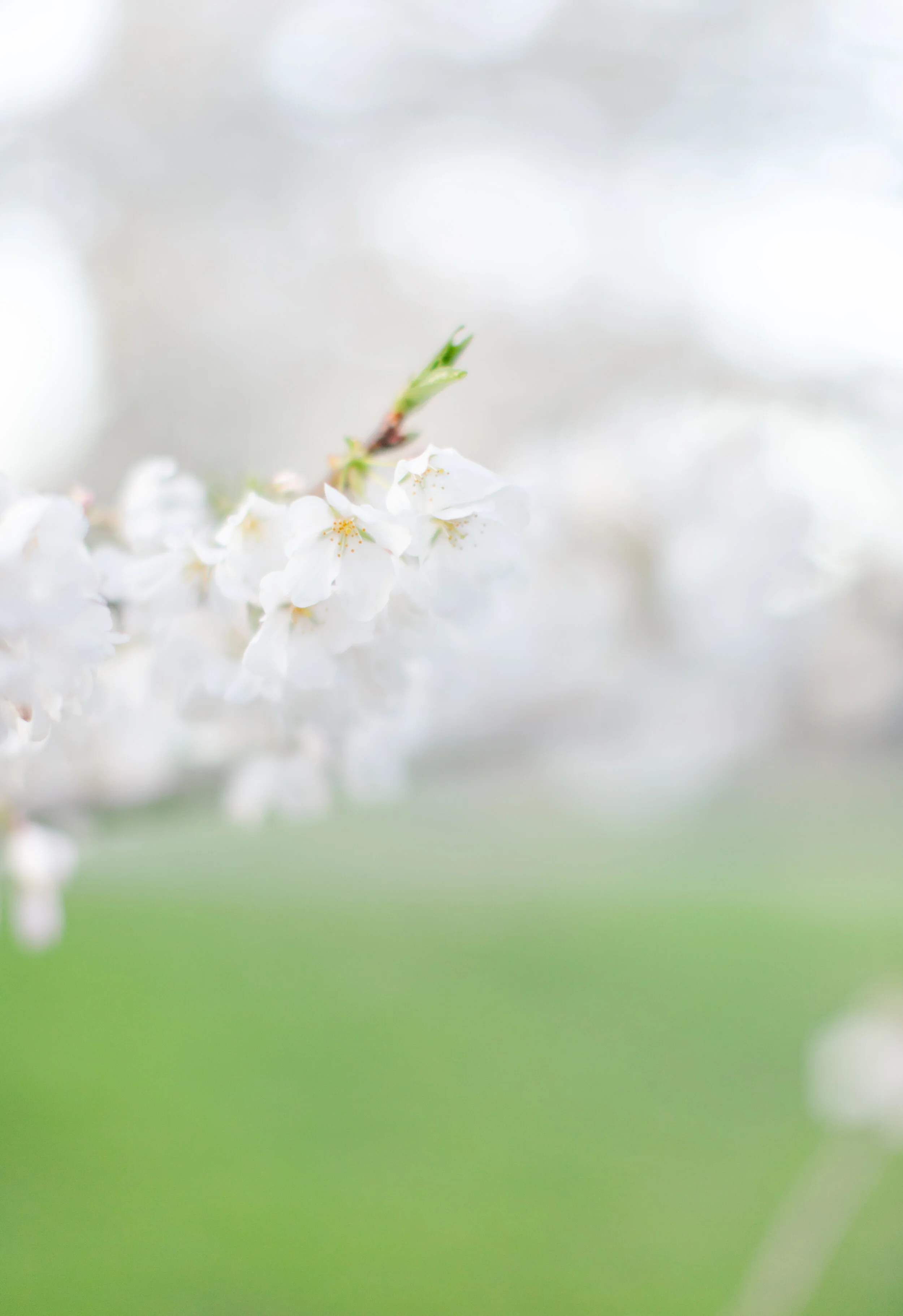 Jill and Hunter Favorites 0044.jpg