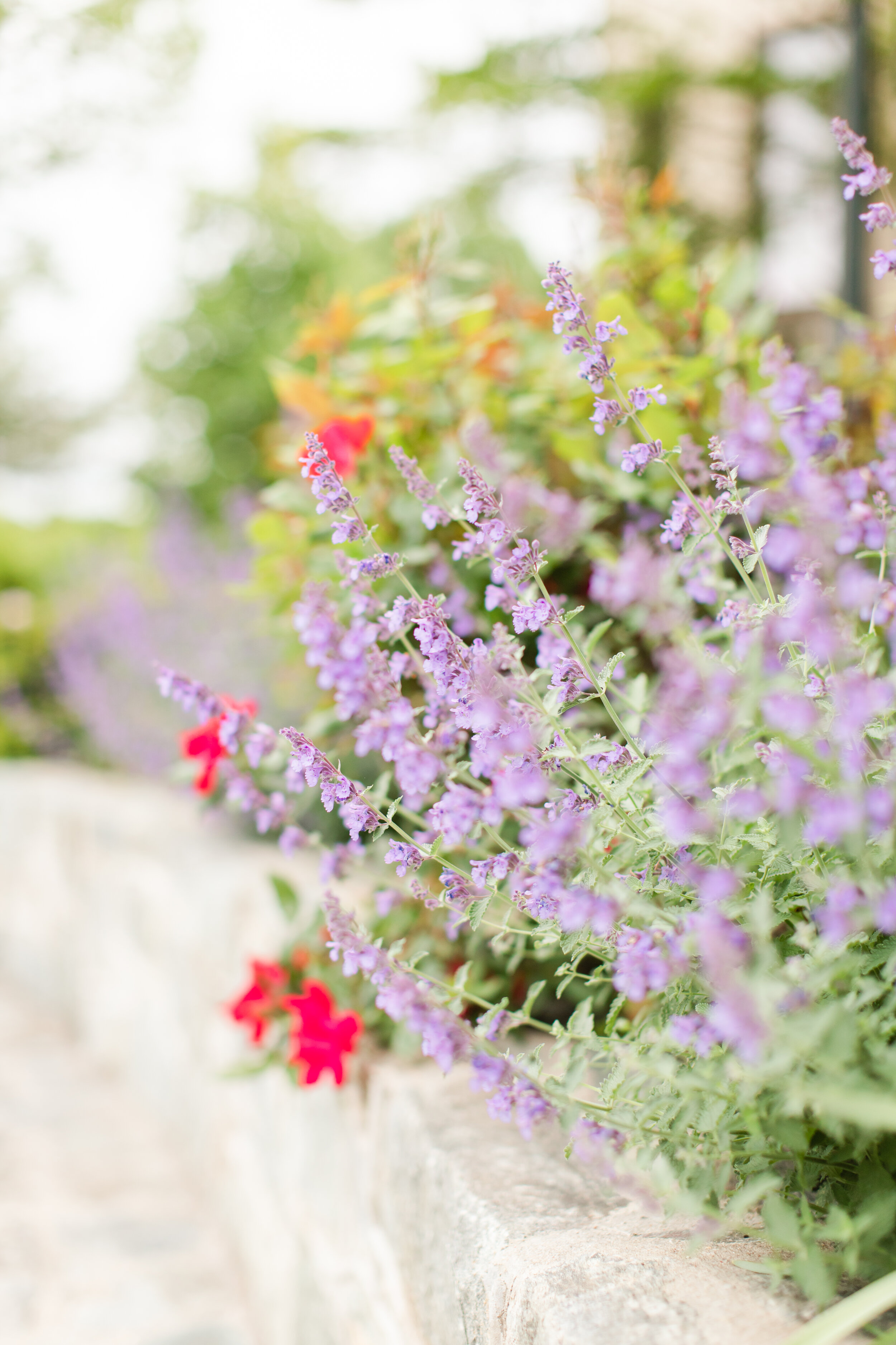 Janacce Family Graduation 0002.jpg