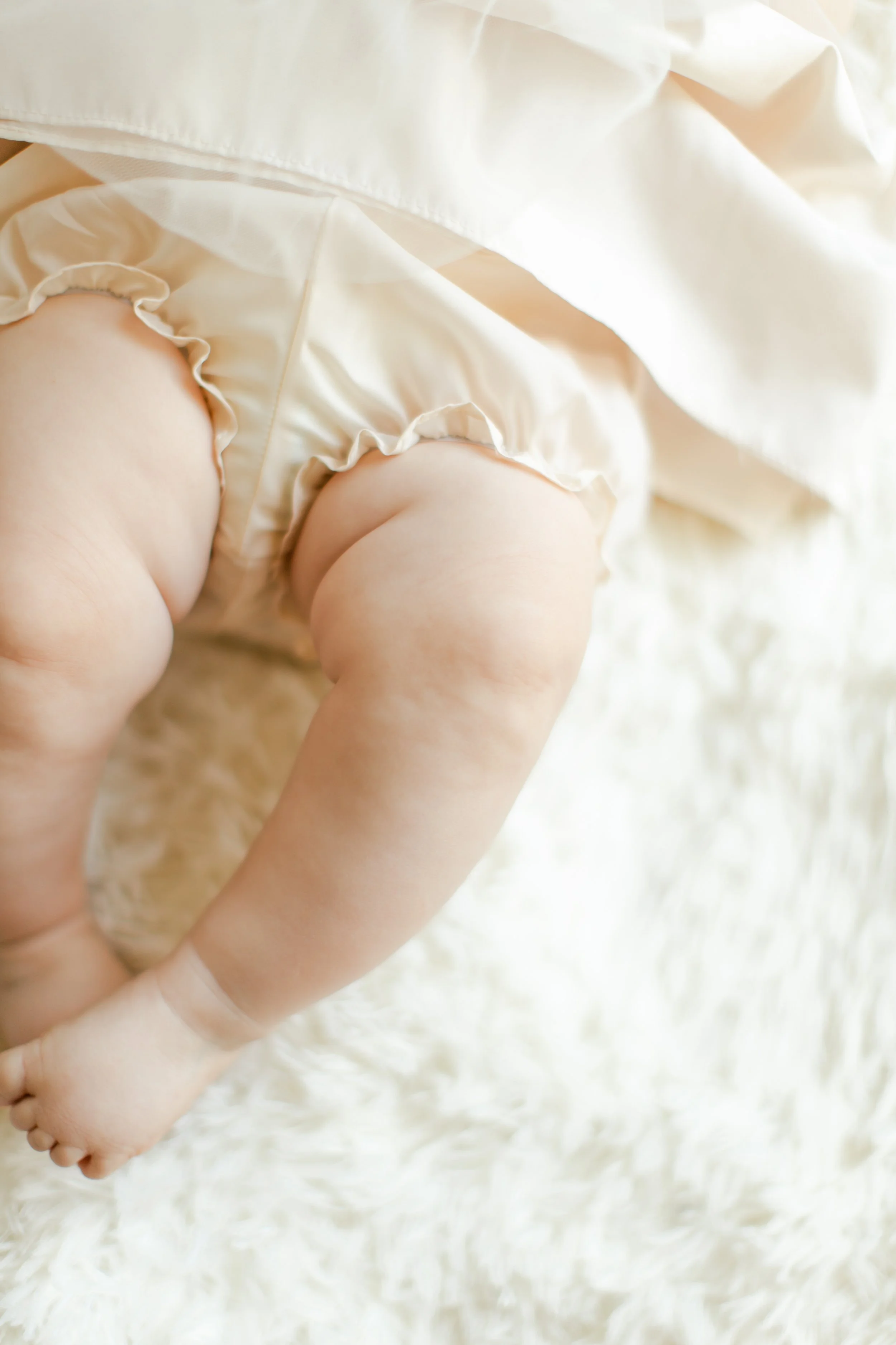 Shep and Ember Favs 0025.jpg