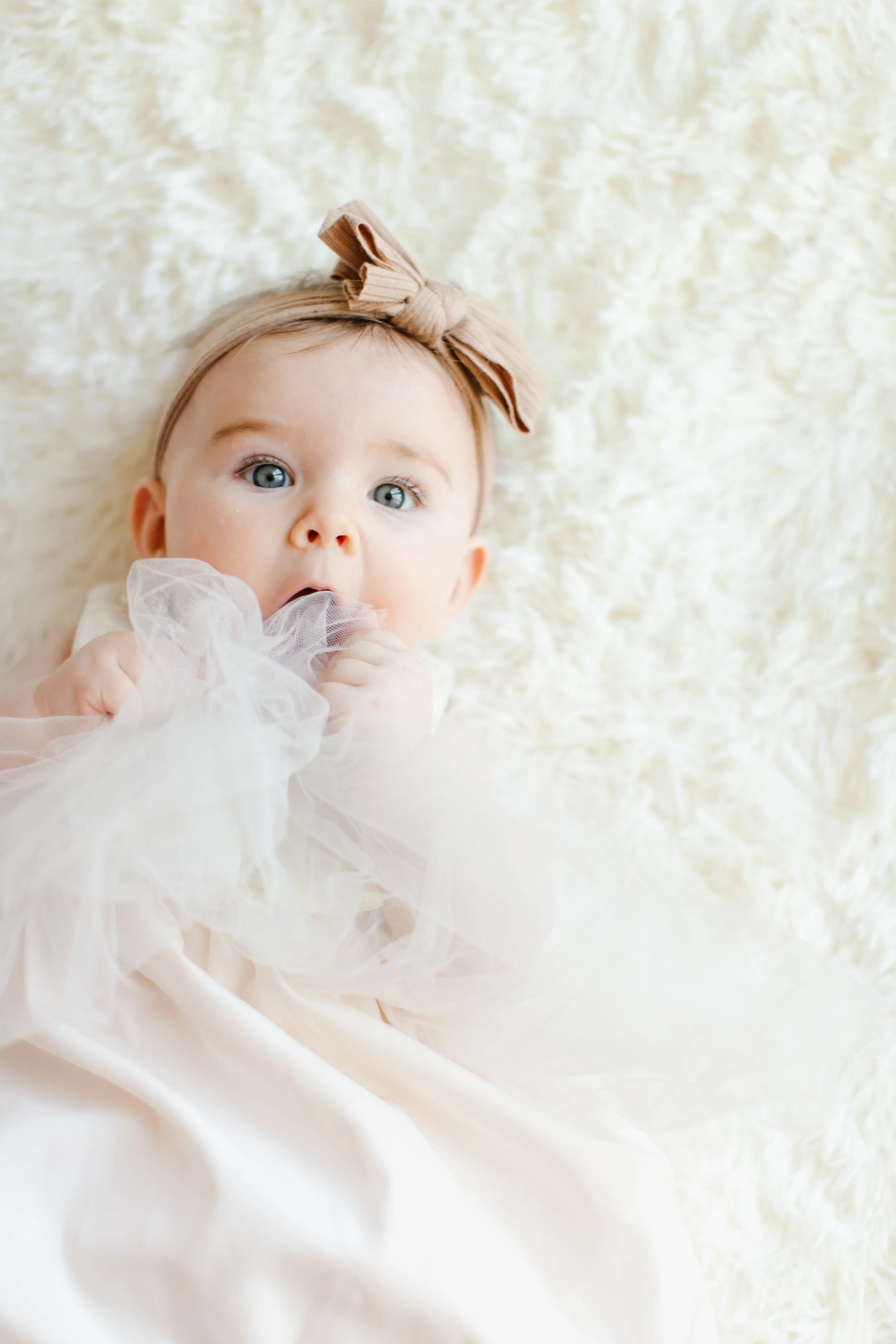 Shep and Ember Favs 0022.jpg