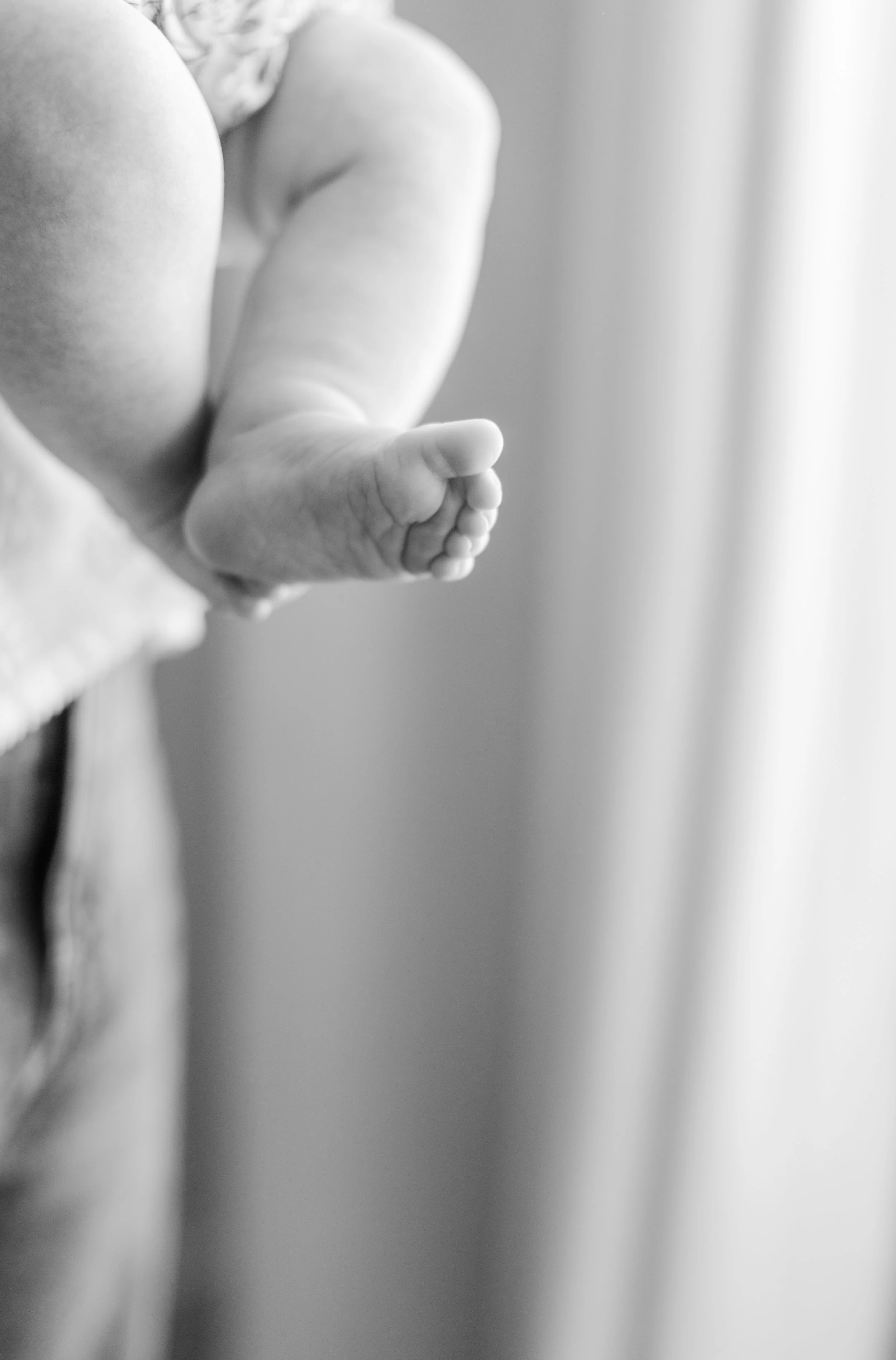 The Allen Family Favorites 0035.jpg