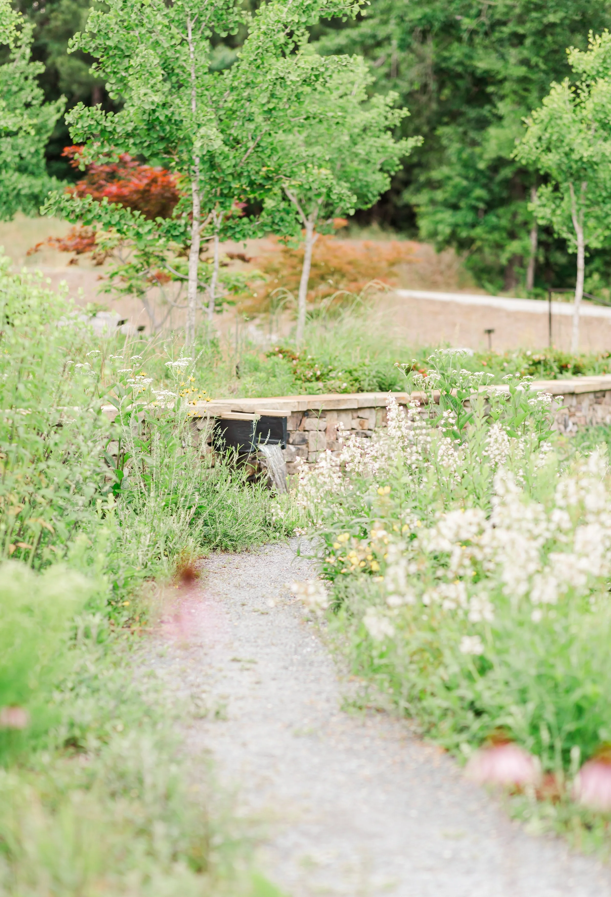 Bowers Favorites 0011.jpg