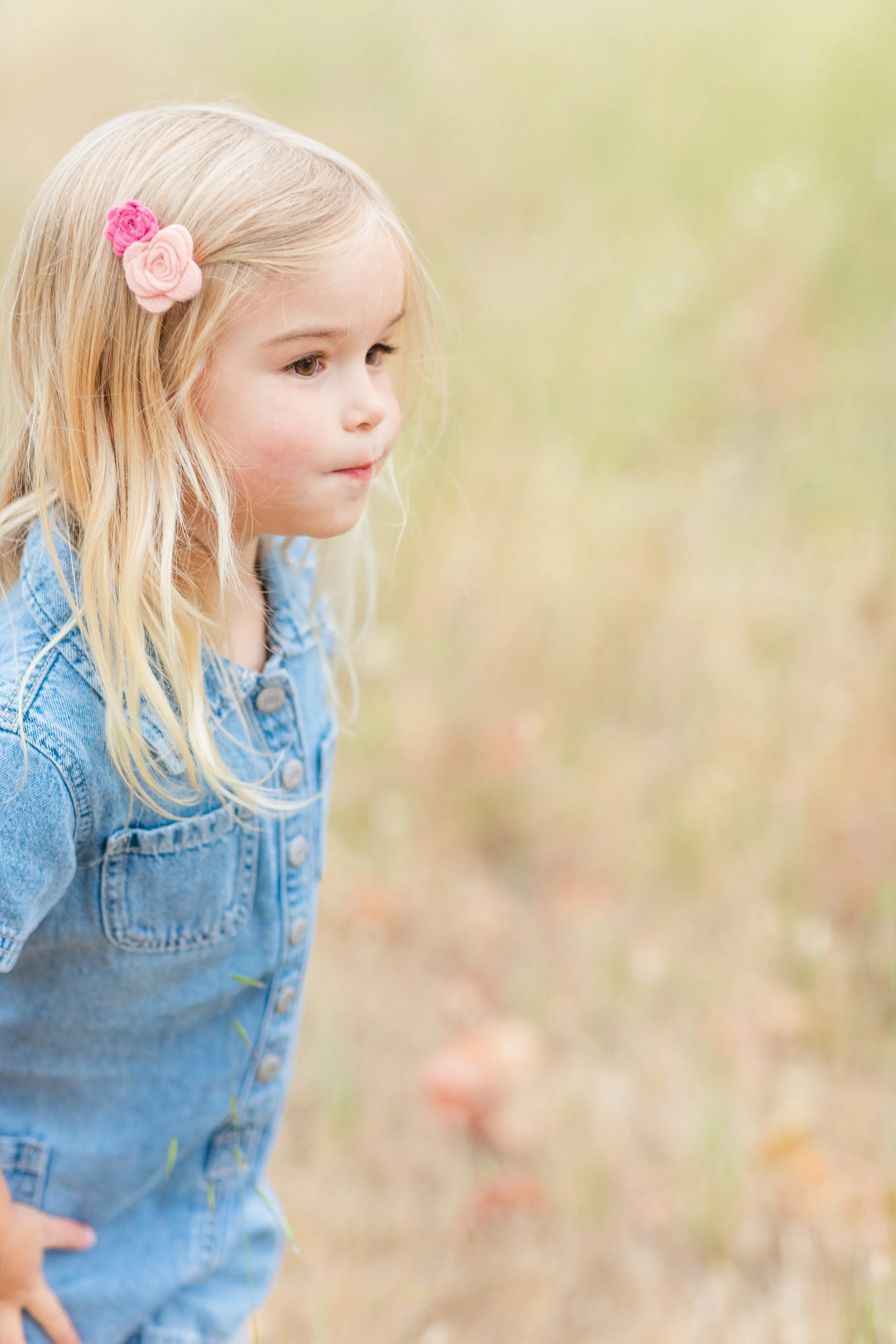 LAI 2025 Sneak Peek_0001.jpg