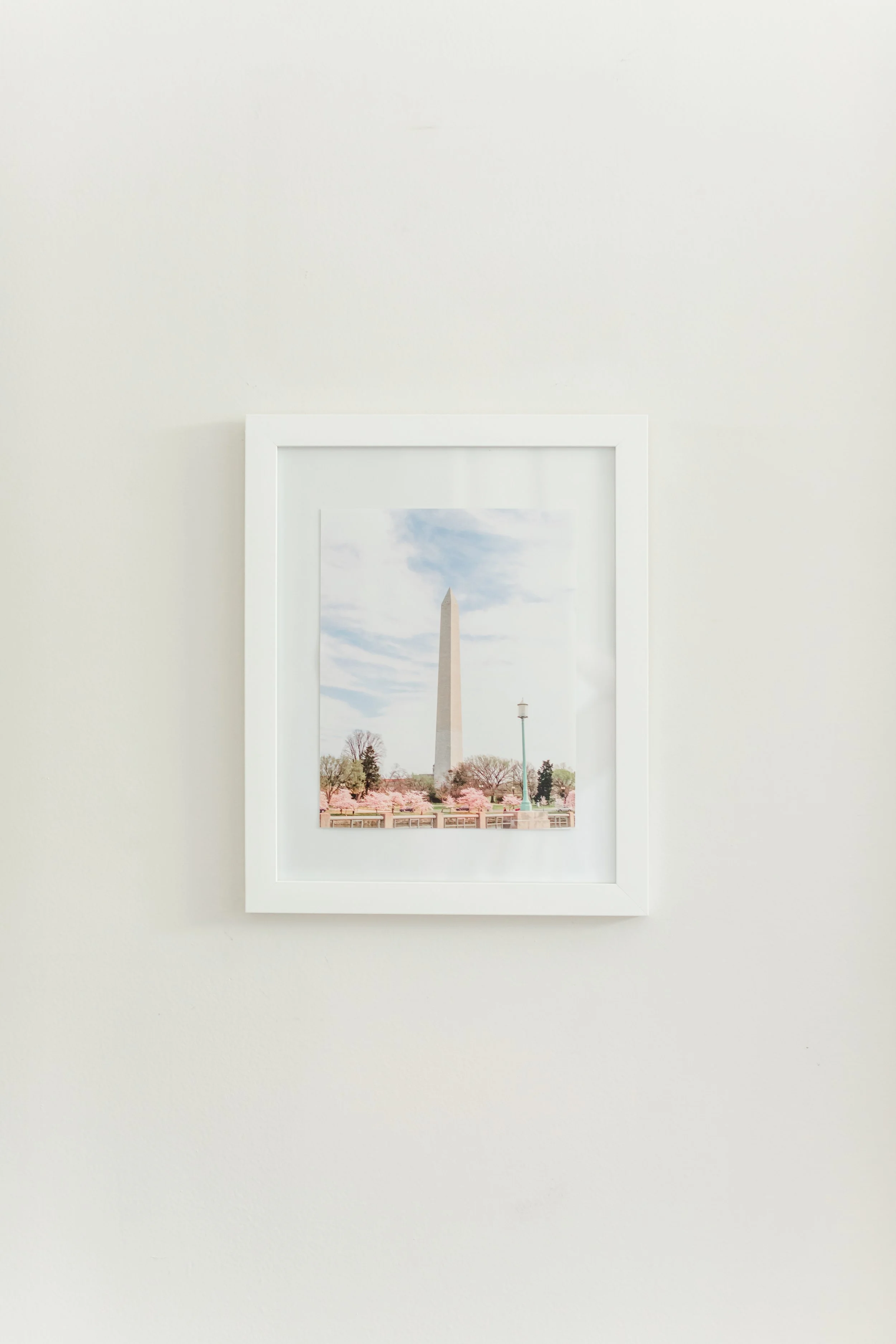 GW Monument: The D.C. Collection