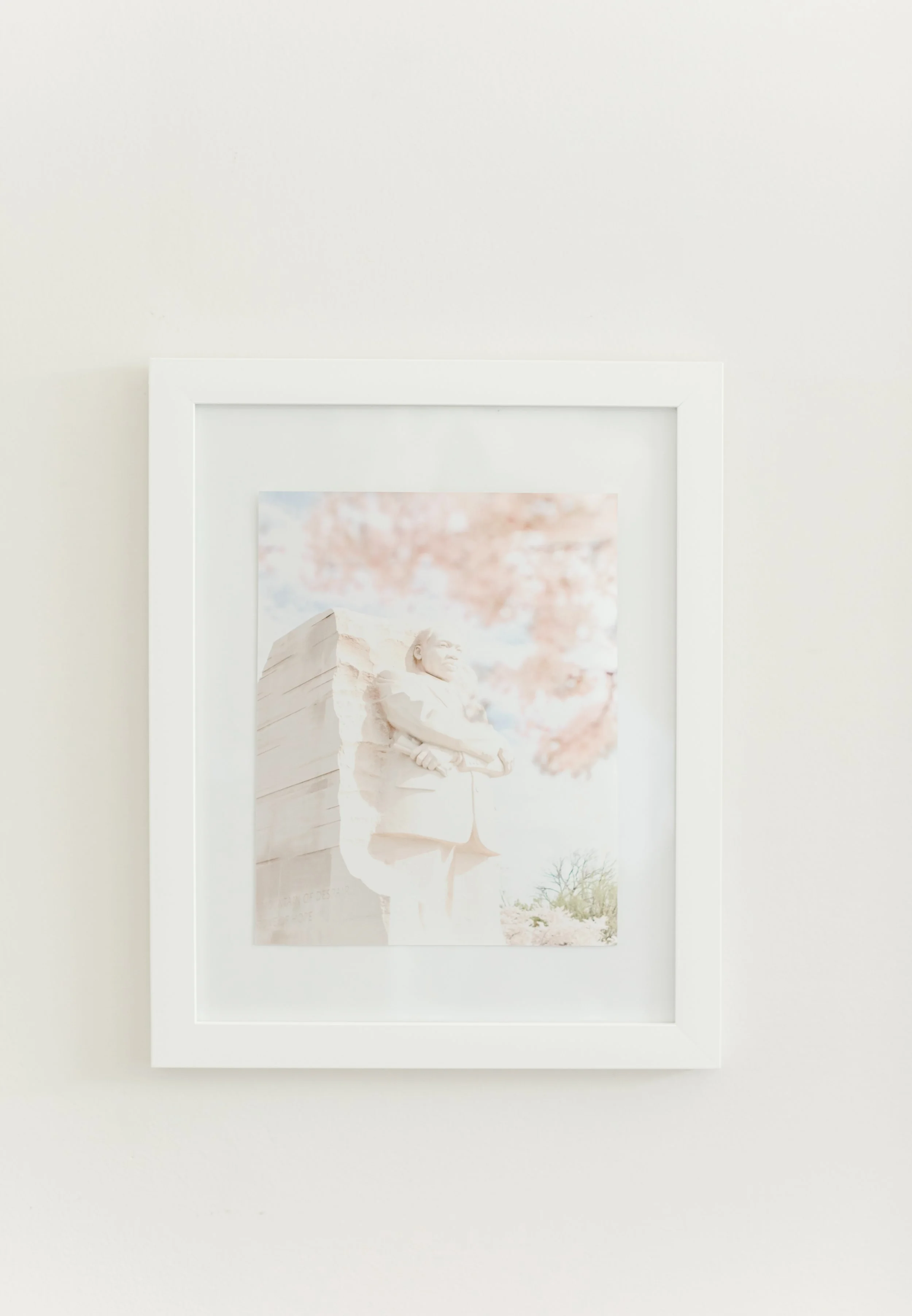 MLK: The D.C. Collection